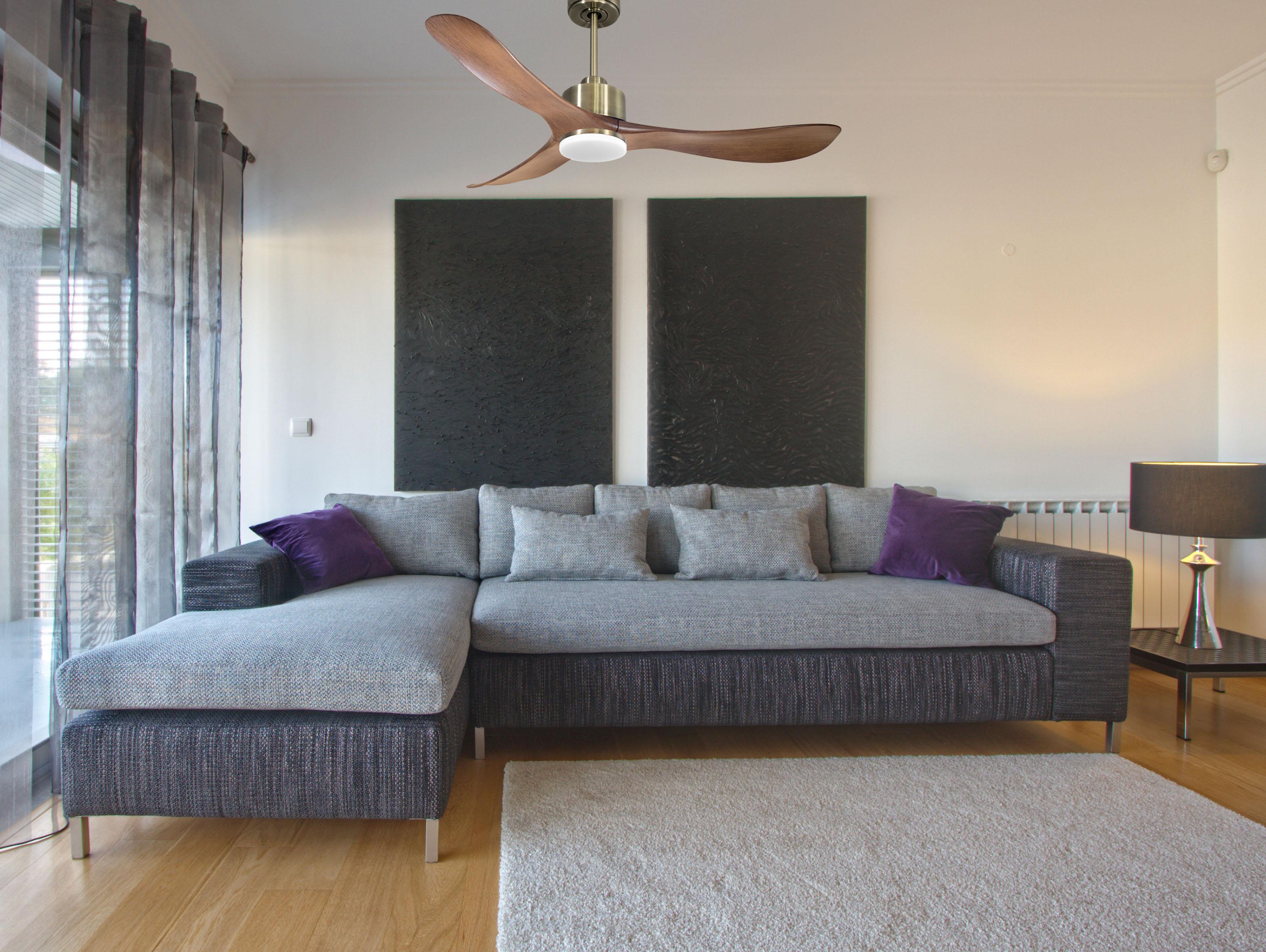 Ventilatore da soffitto Reversibile Termostato Dimmabile Wifi Motore CC Tetti inclinati Telecomando Luce a tre toni Hypersilence Memoria