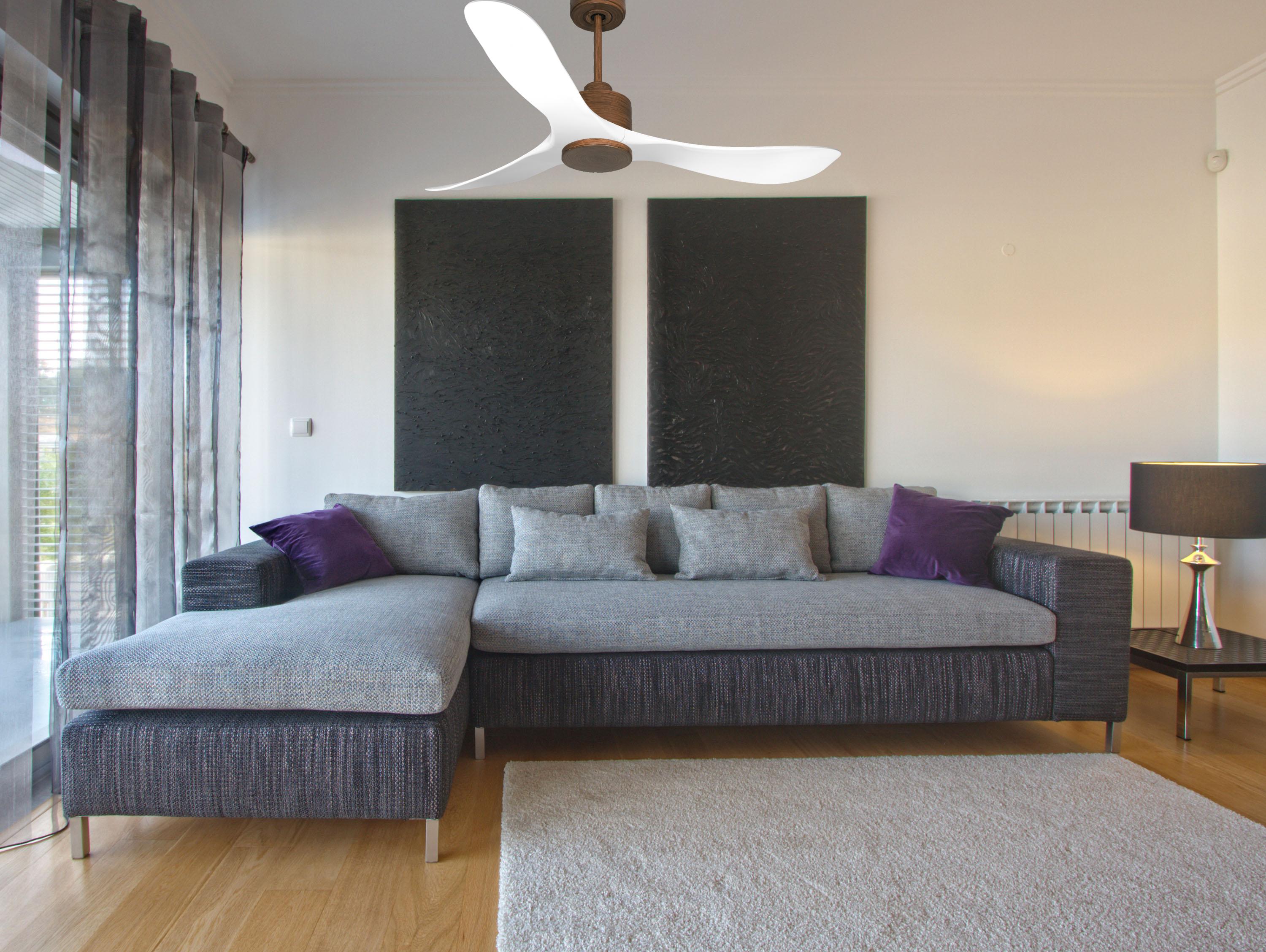 Ventilatore da soffitto Reversibile Termostato Wifi Motore CC Tetti inclinati Telecomando Hypersilence Memoria