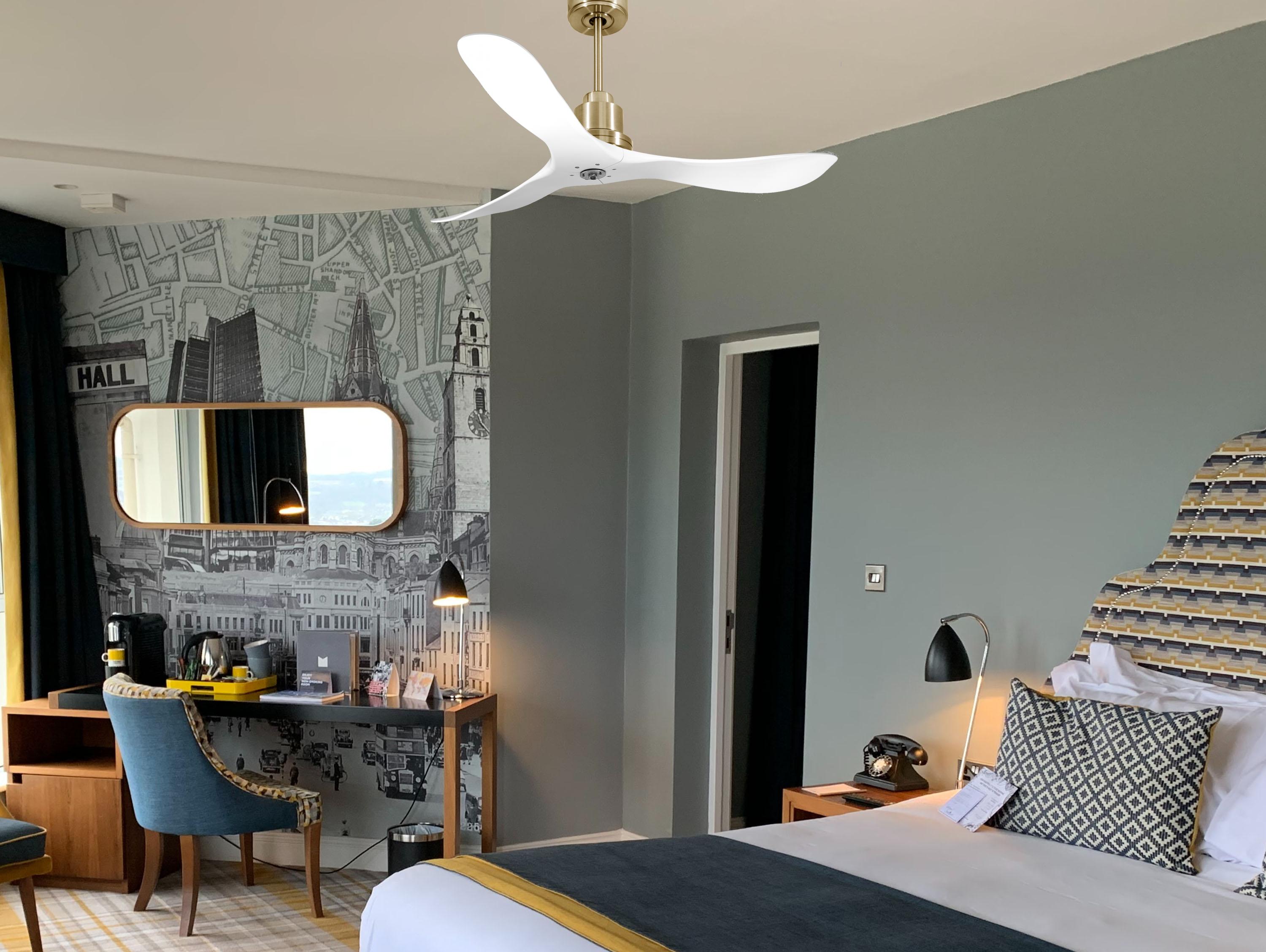 Ventilatore da soffitto Reversibile Termostato Dimmabile Wifi Motore CC Tetti inclinati Telecomando Luce a tre toni Hypersilence Memoria