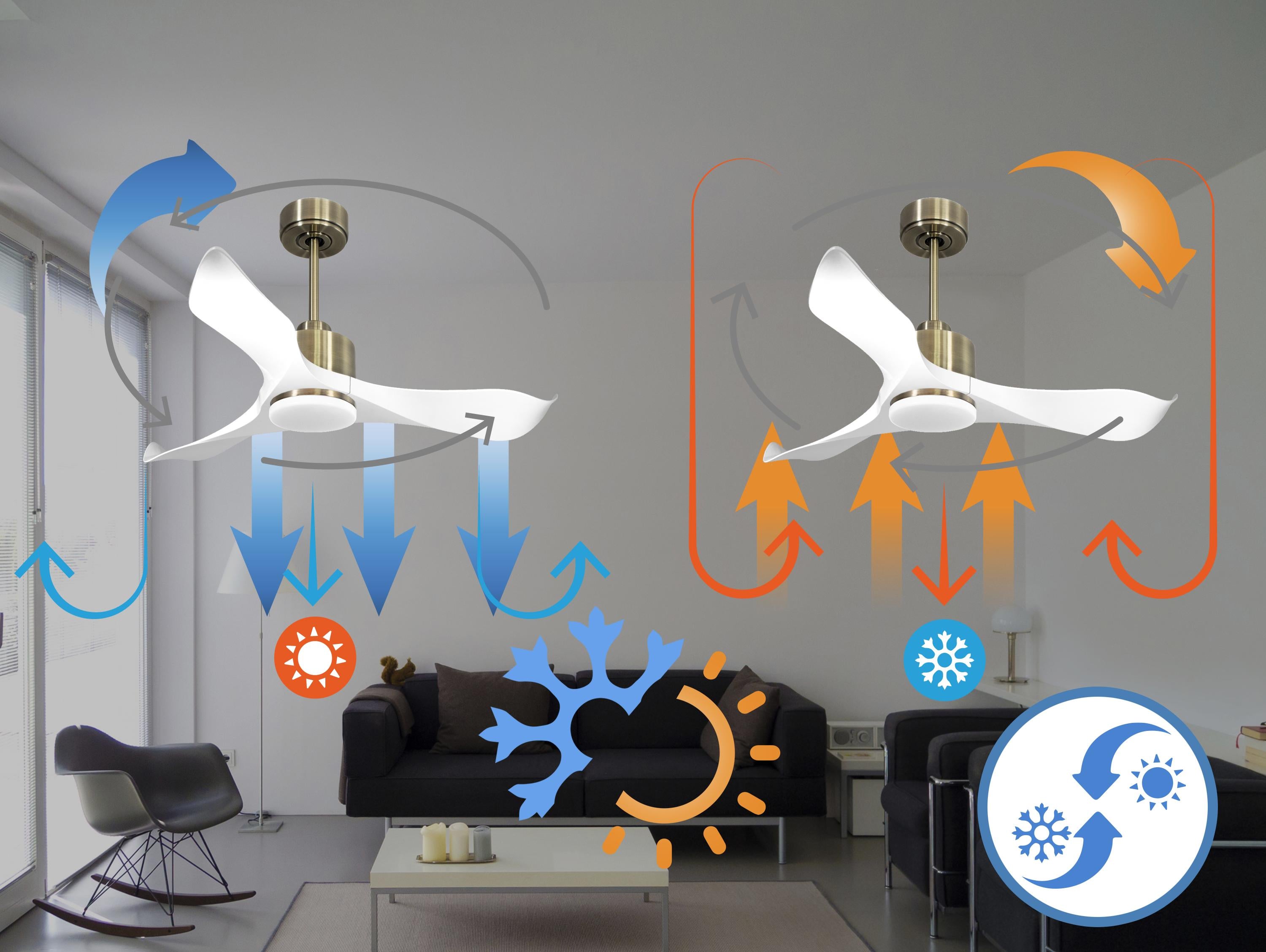 Ventilatore da soffitto Reversibile Termostato Dimmabile Wifi Motore CC Tetti inclinati Telecomando Luce a tre toni Adattatore 2/3 lame Hypersilence Memoria