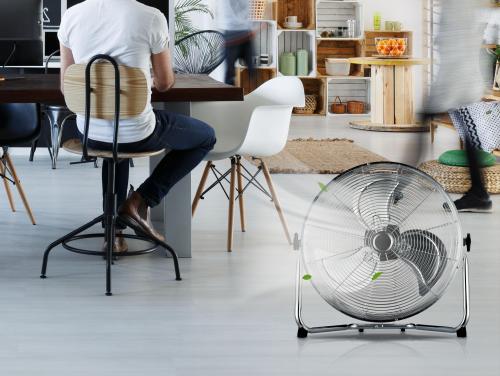 I FAN