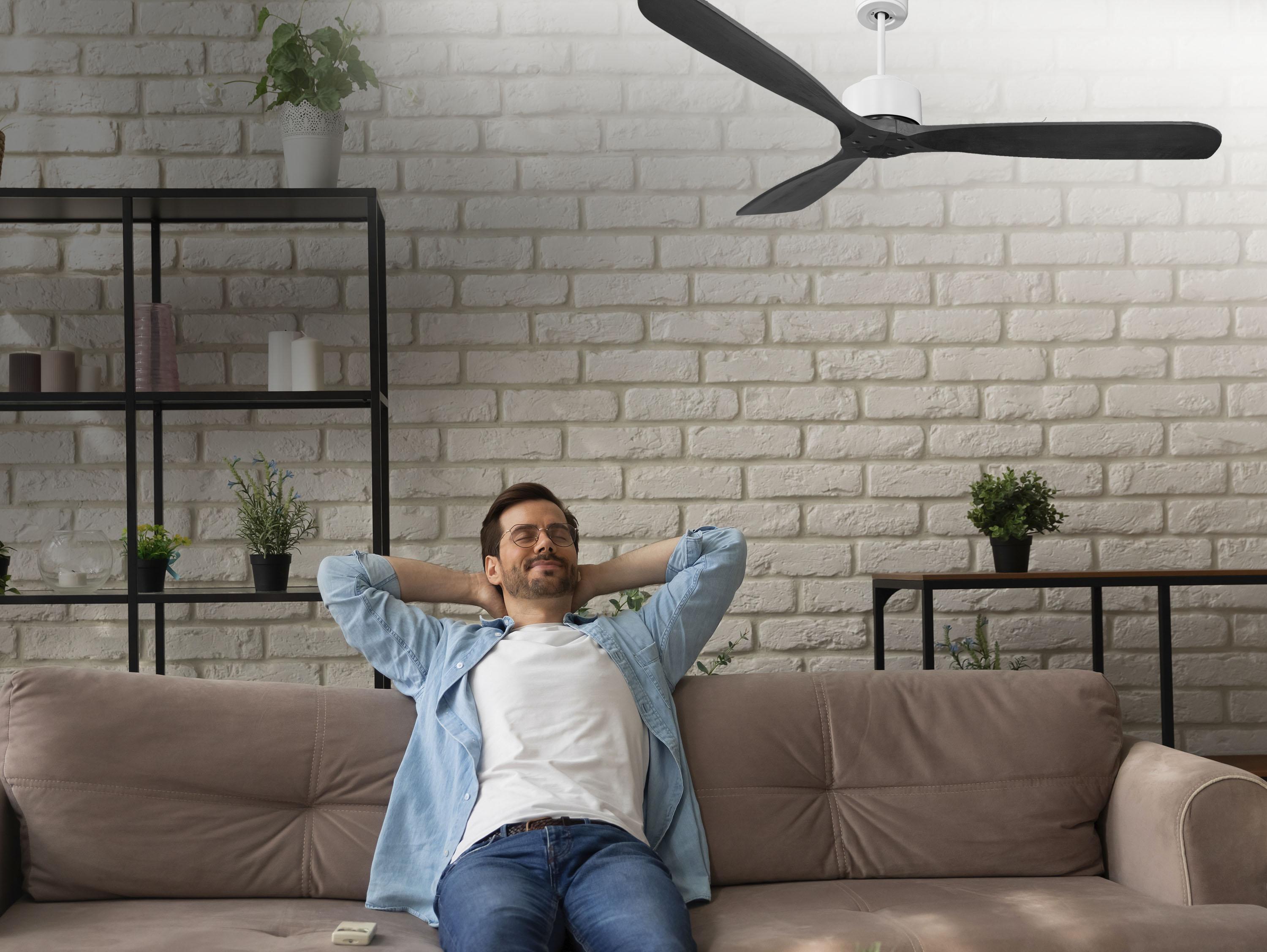 Fernando D166 C02 69097: Ventilatore da soffitto ø166 cm con Wifi Reversibile Hypersilence