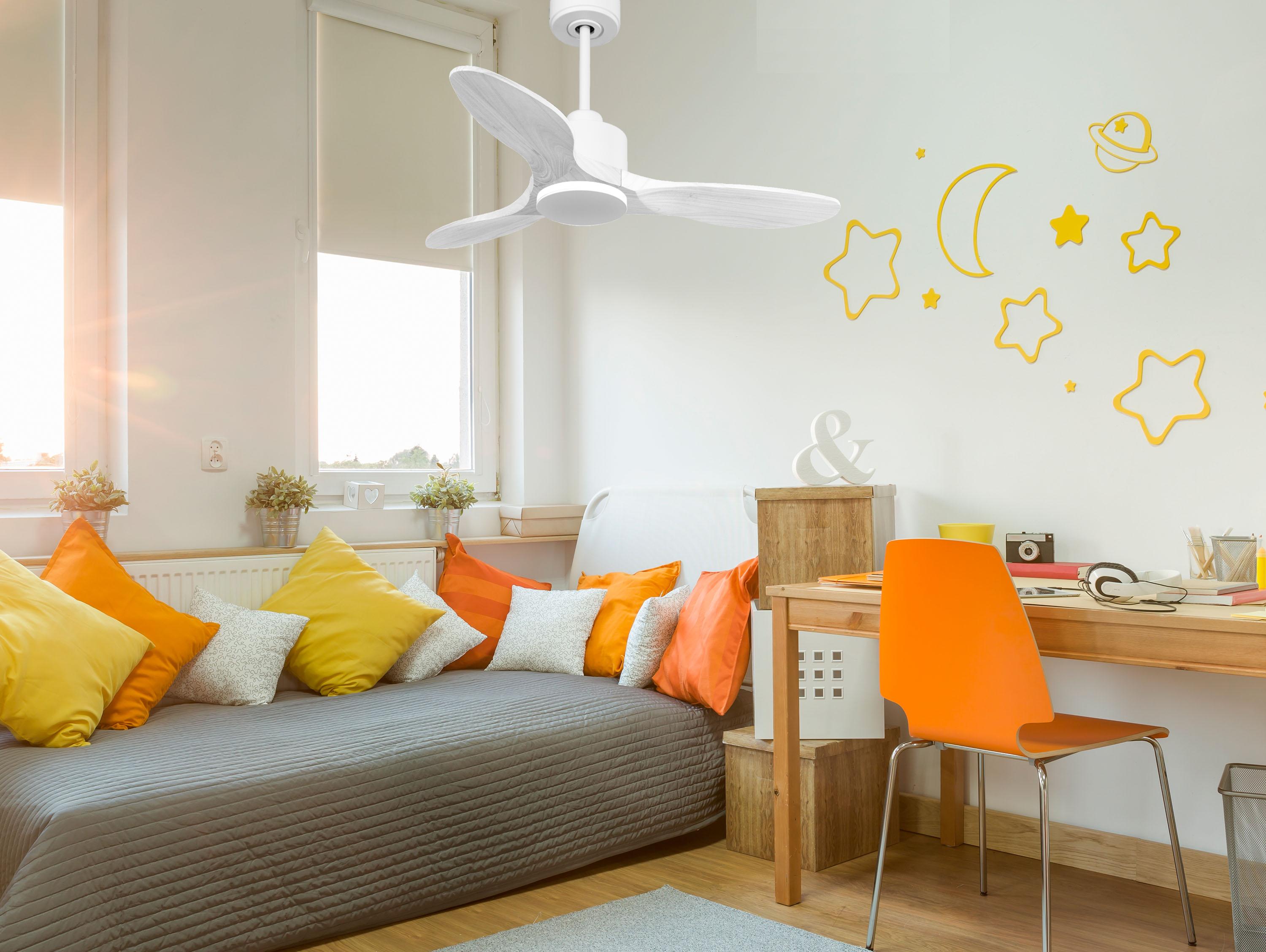 Ventilatori da soffitto  