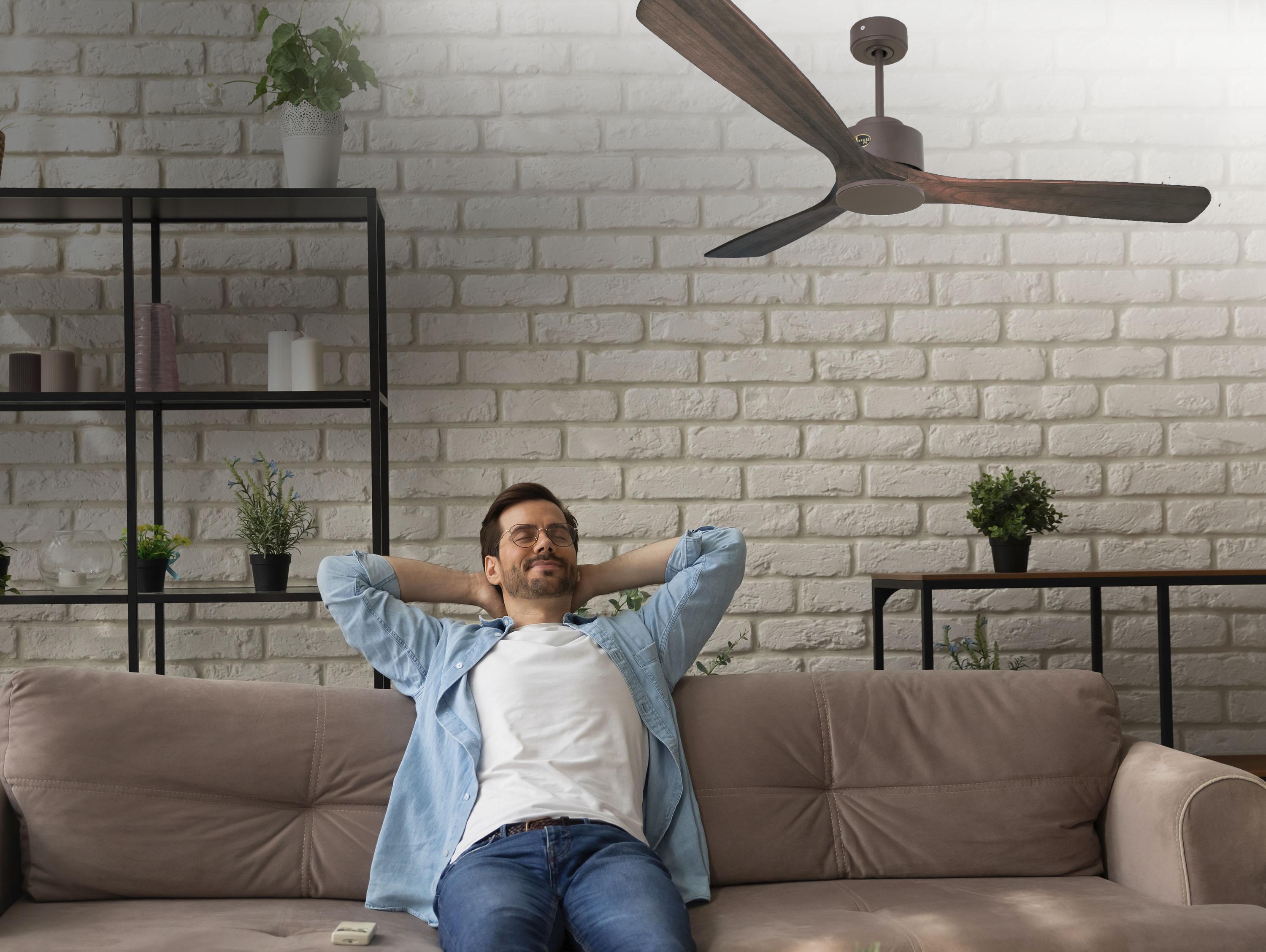 Ventilatori da soffitto  