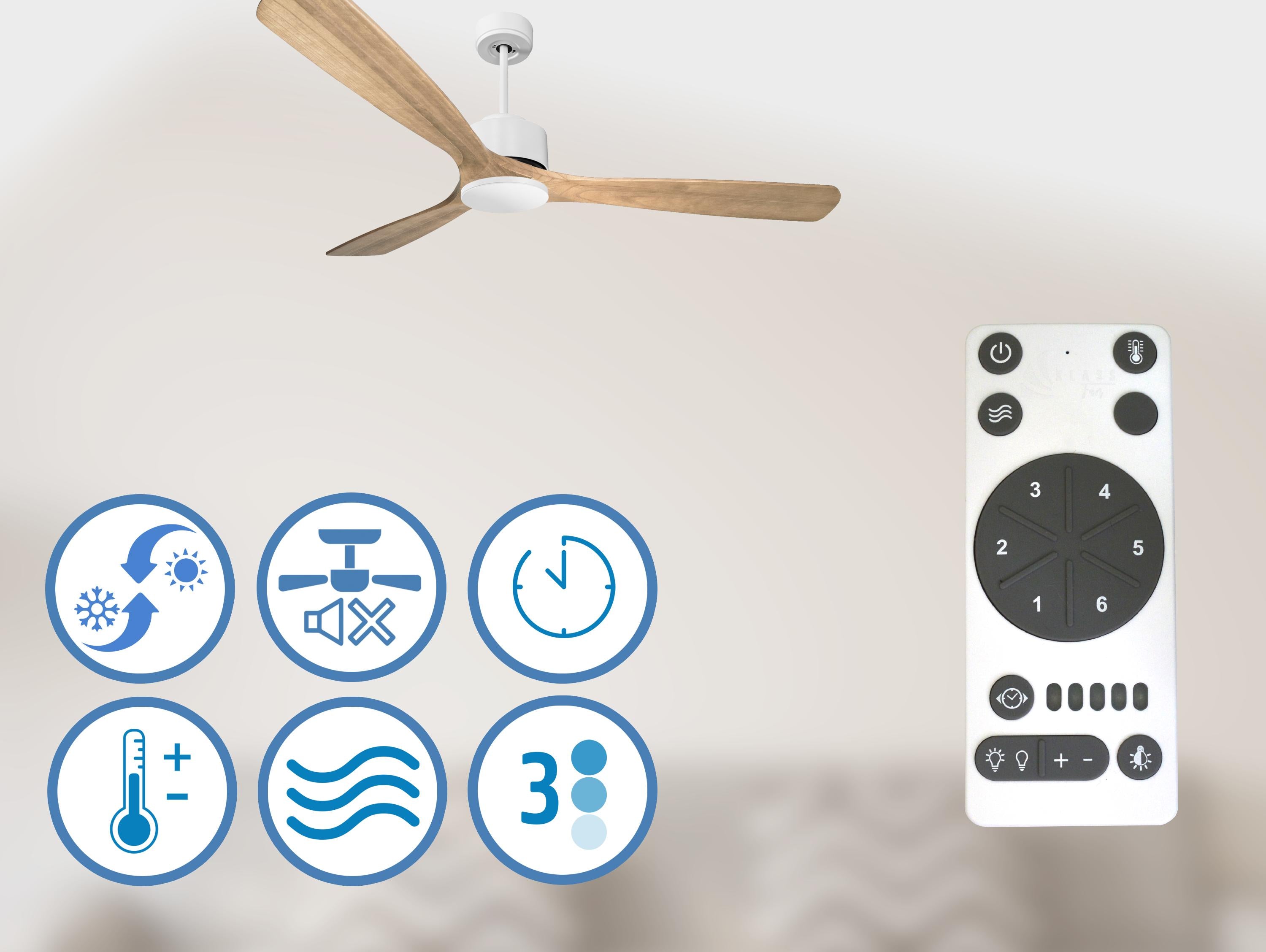 Ventilatori da soffitto  