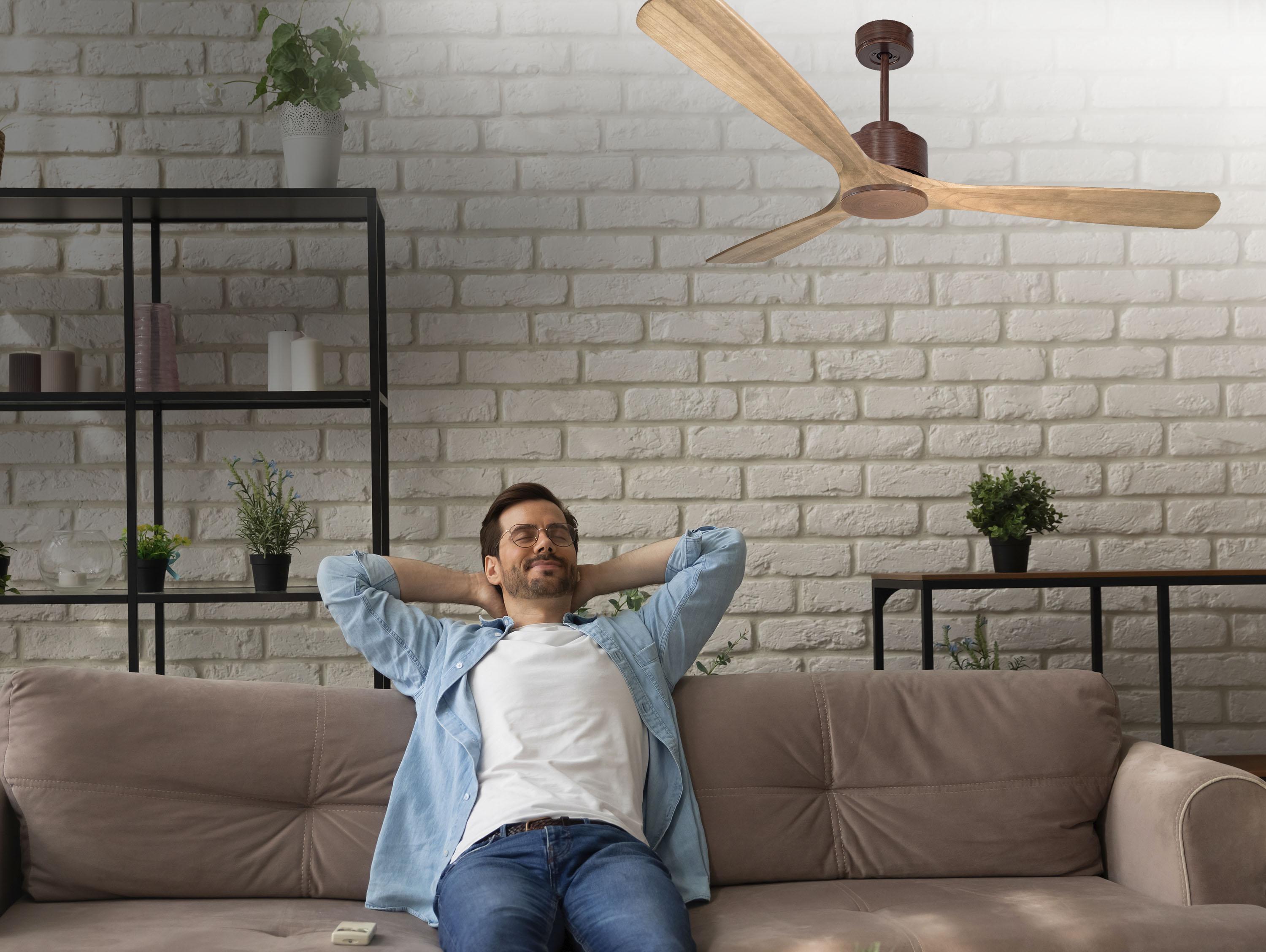   Ventilatore da soffitto ø166 cm con Wifi Reversibile Hypersilence