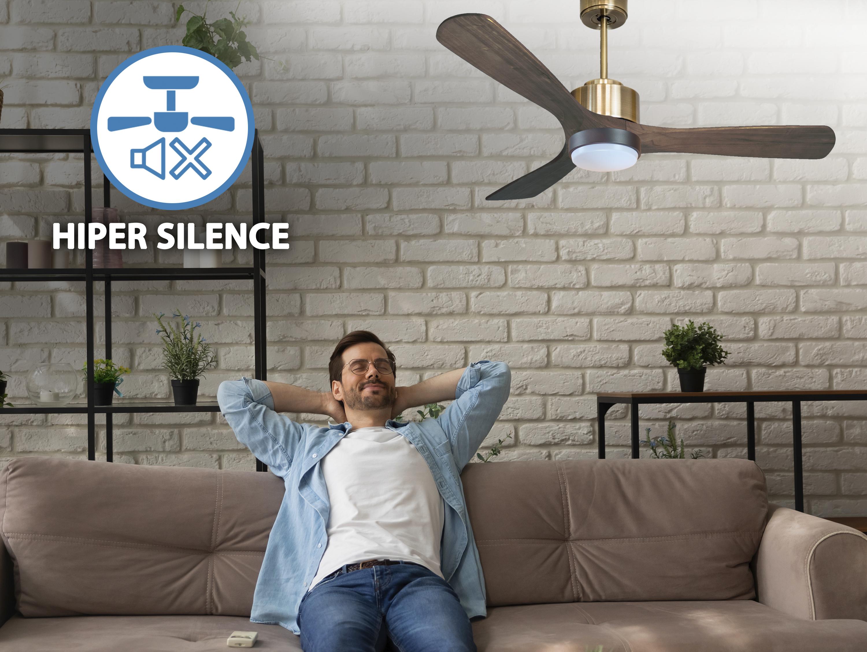 Ventilatore a soffitto ultra silenzioso e a basso consumo DC MoyoD132C02LED65963