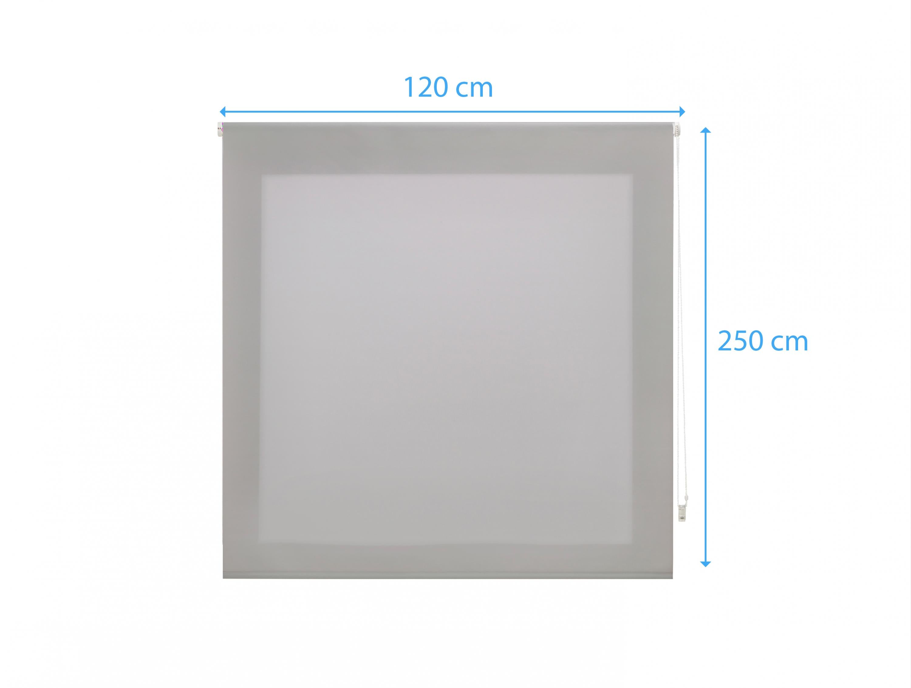 Tenda a rullo 120X250 ARGENTO in Poliestere opaco