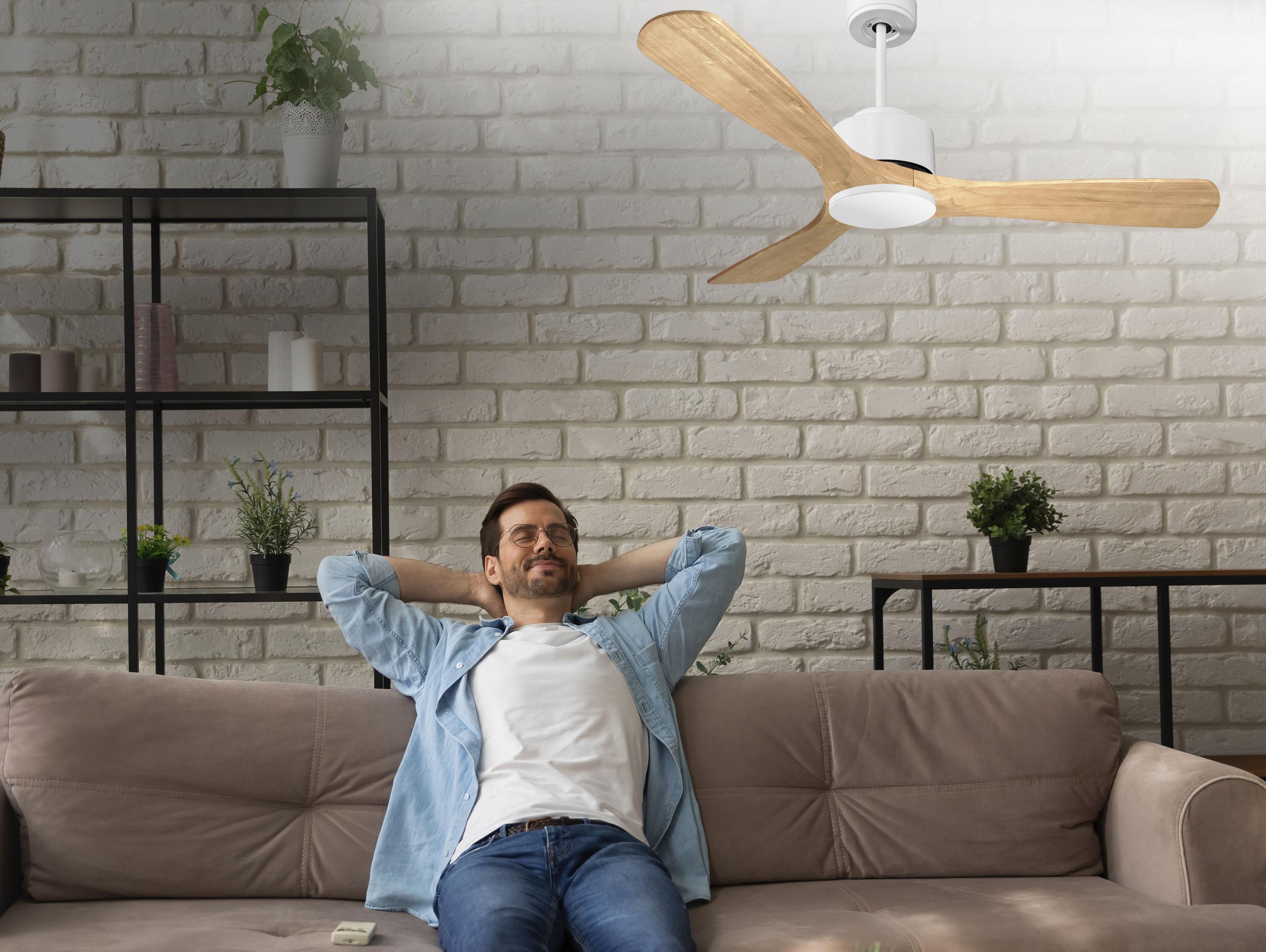 Ventilatori da soffitto  