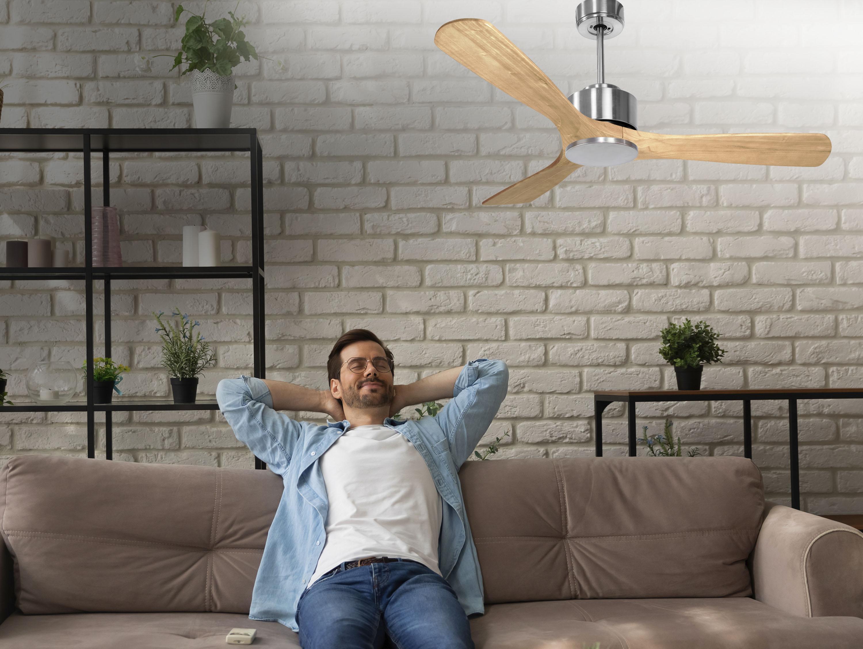   Ventilatore da soffitto ø132 cm con Wifi Reversibile Hypersilence