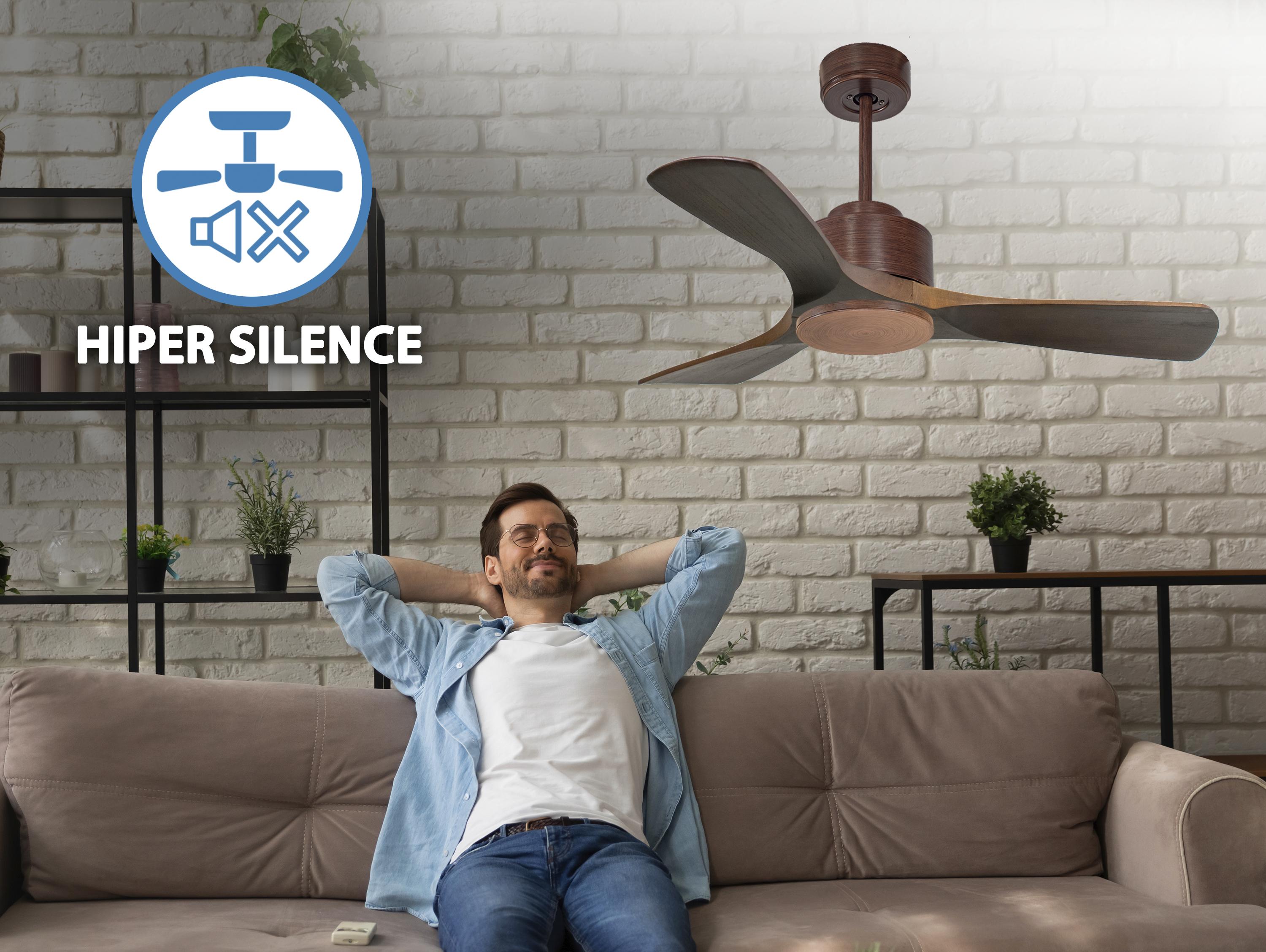 Ventilatori da soffitto  