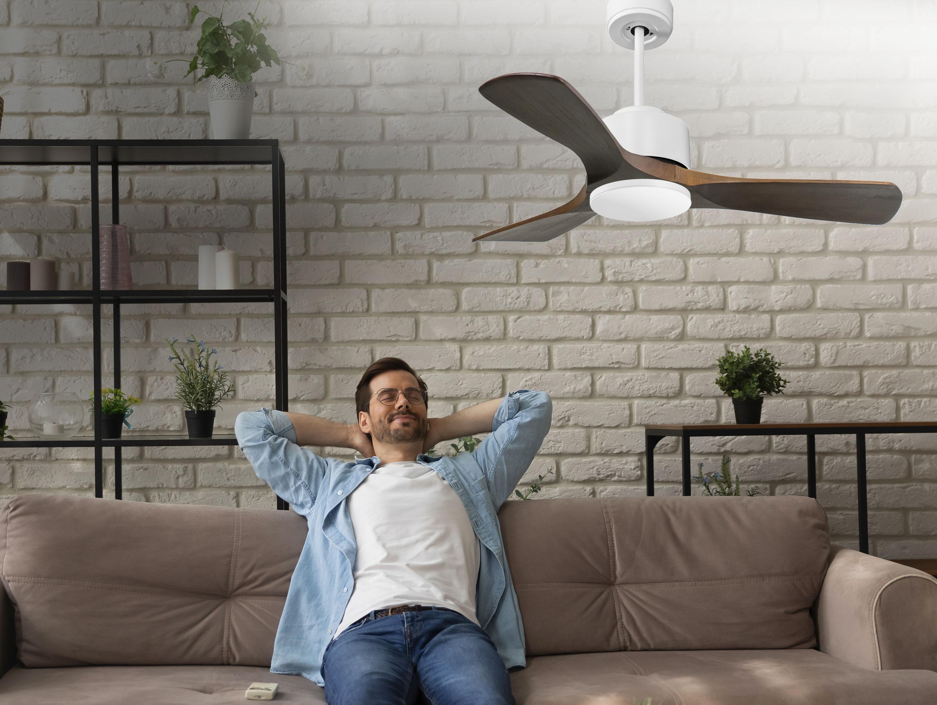   Ventilatore da soffitto ø106 cm con Wifi Reversibile Hypersilence