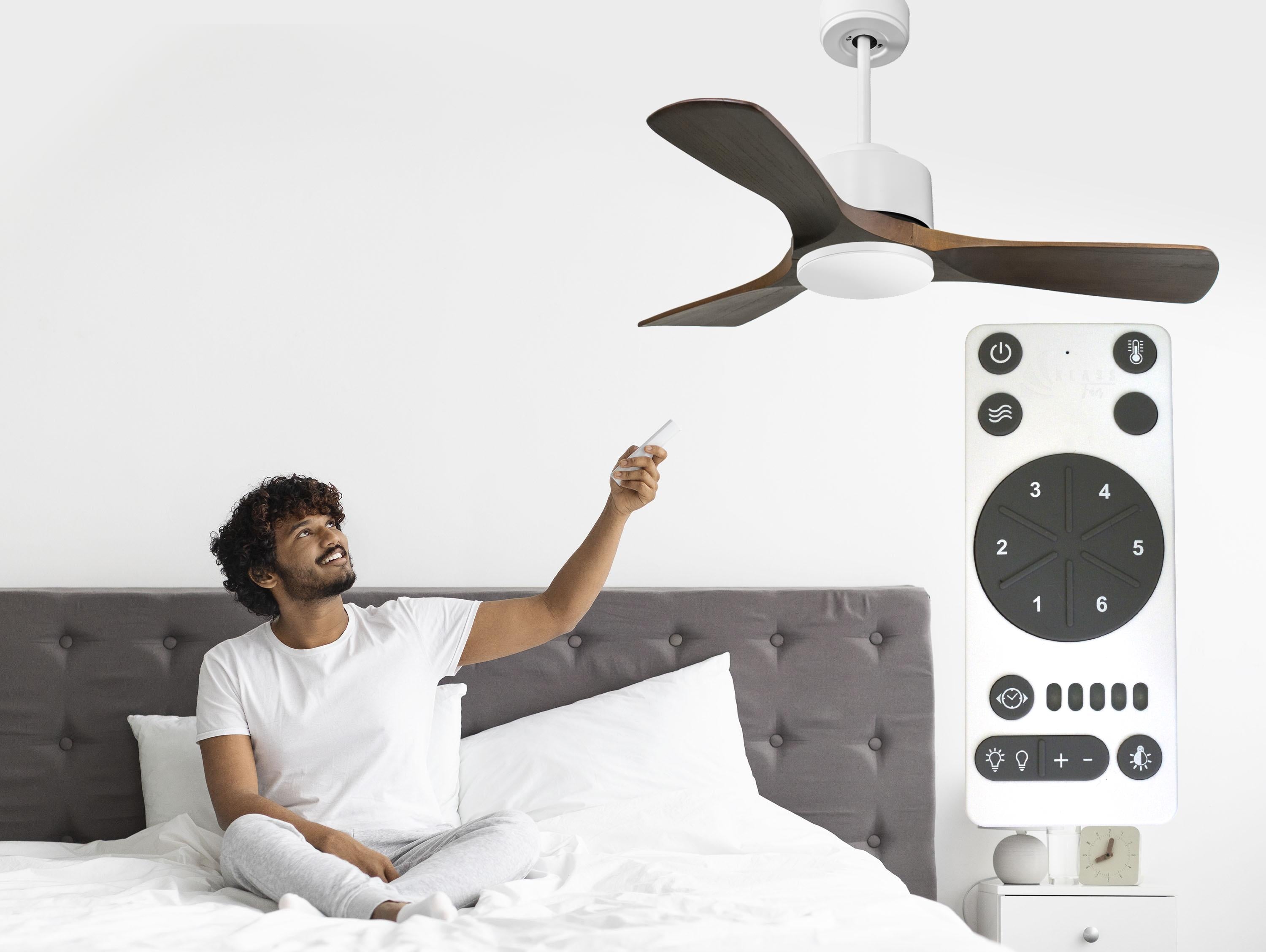 Ventilatori da soffitto  