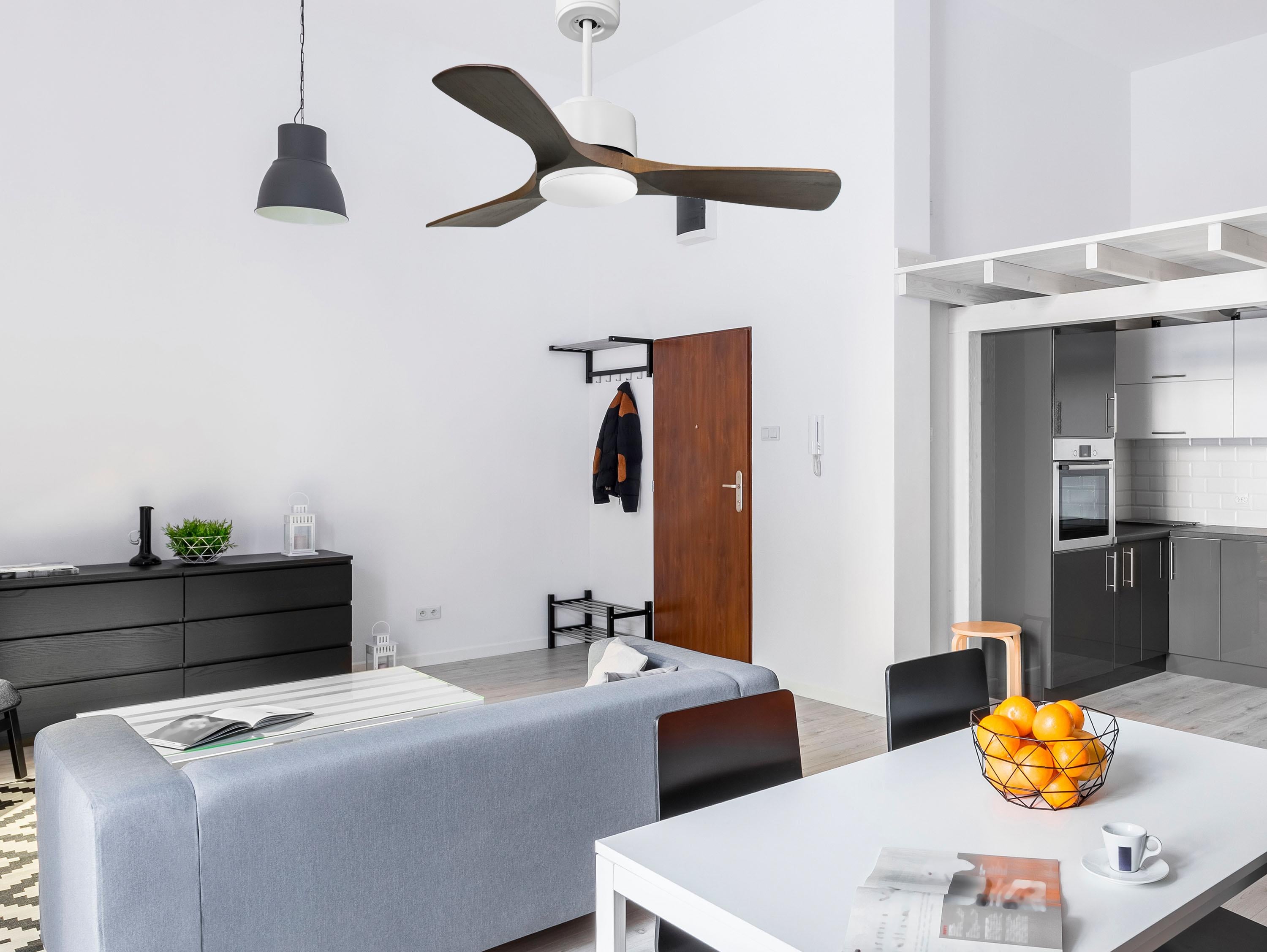 PrÃ­ncipe D106 C02 69141: Ventilatori da soffitto