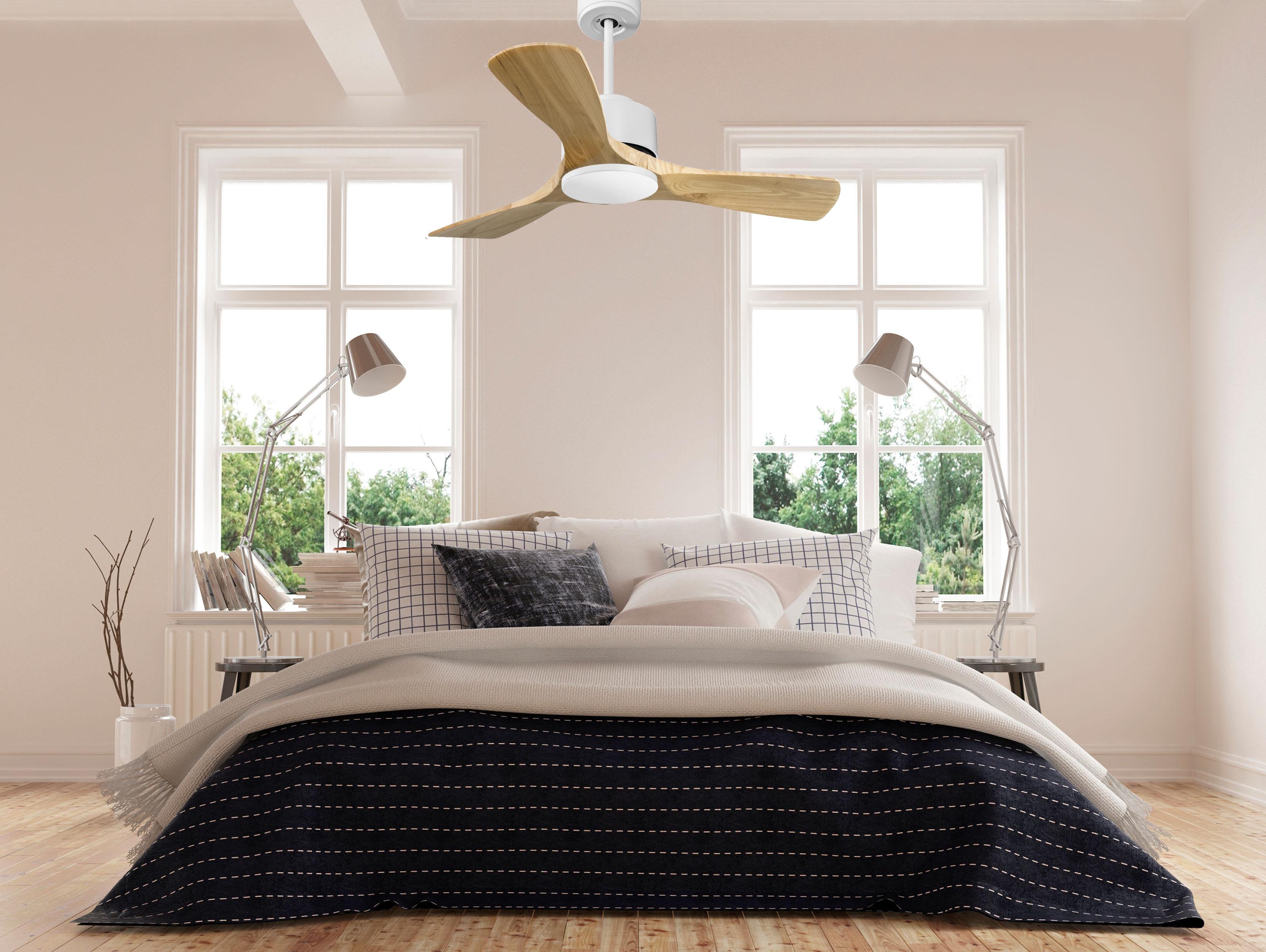 Ventilatori da soffitto  