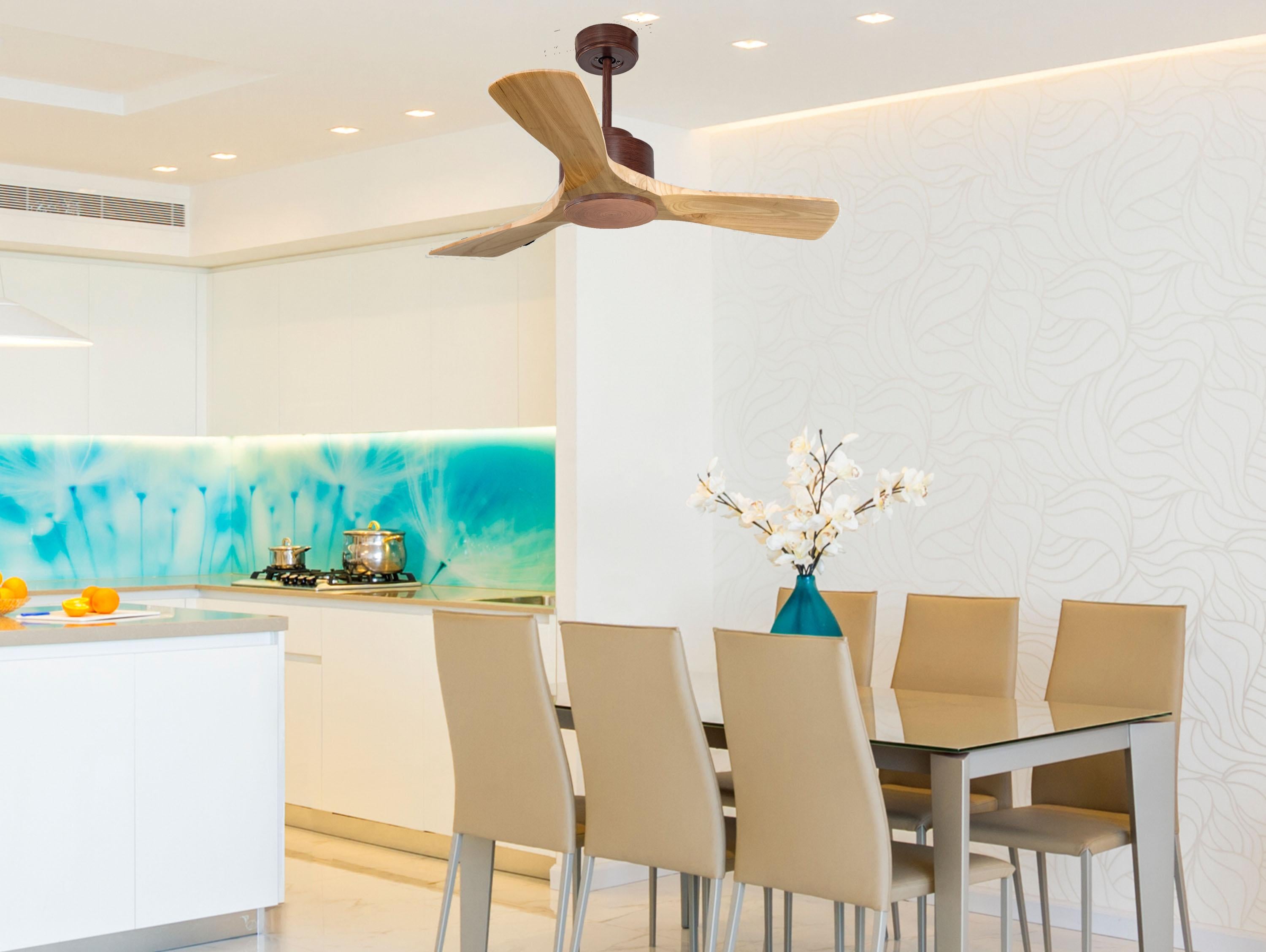 Rarotonga D106 C02 66862: Ventilatori da soffitto