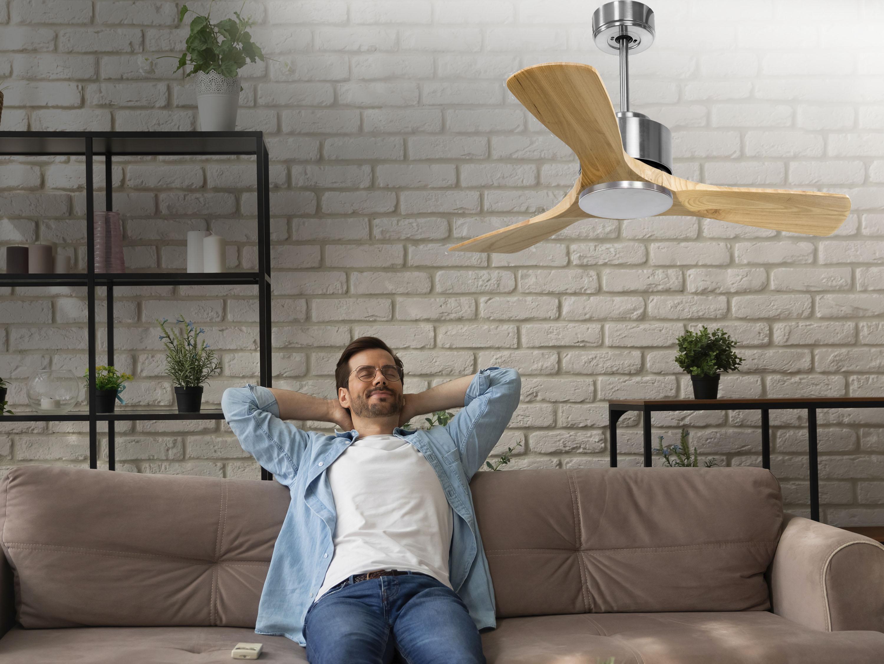   Ventilatore da soffitto ø106 cm con Wifi Reversibile Hypersilence
