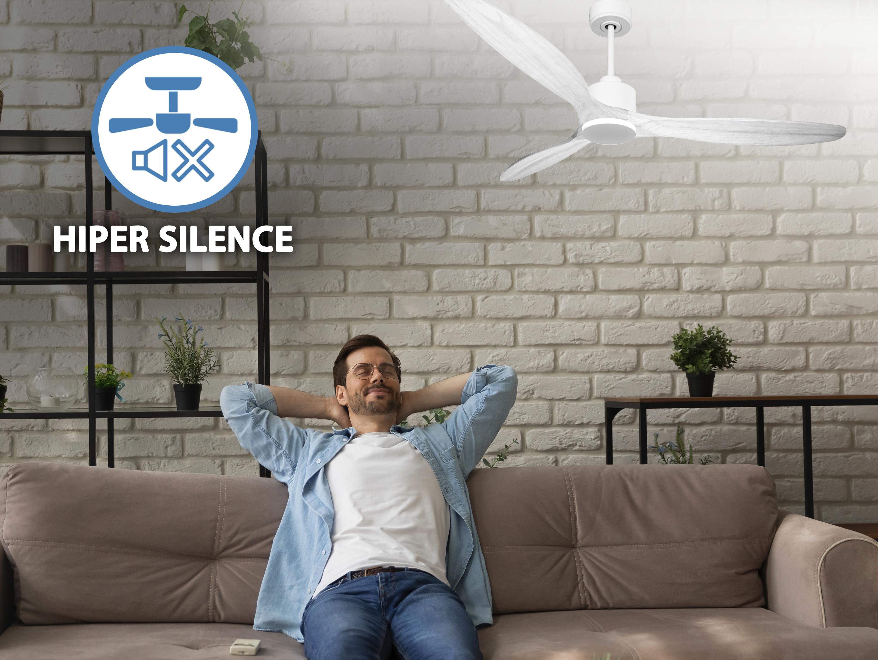 Ventilatori da soffitto  
