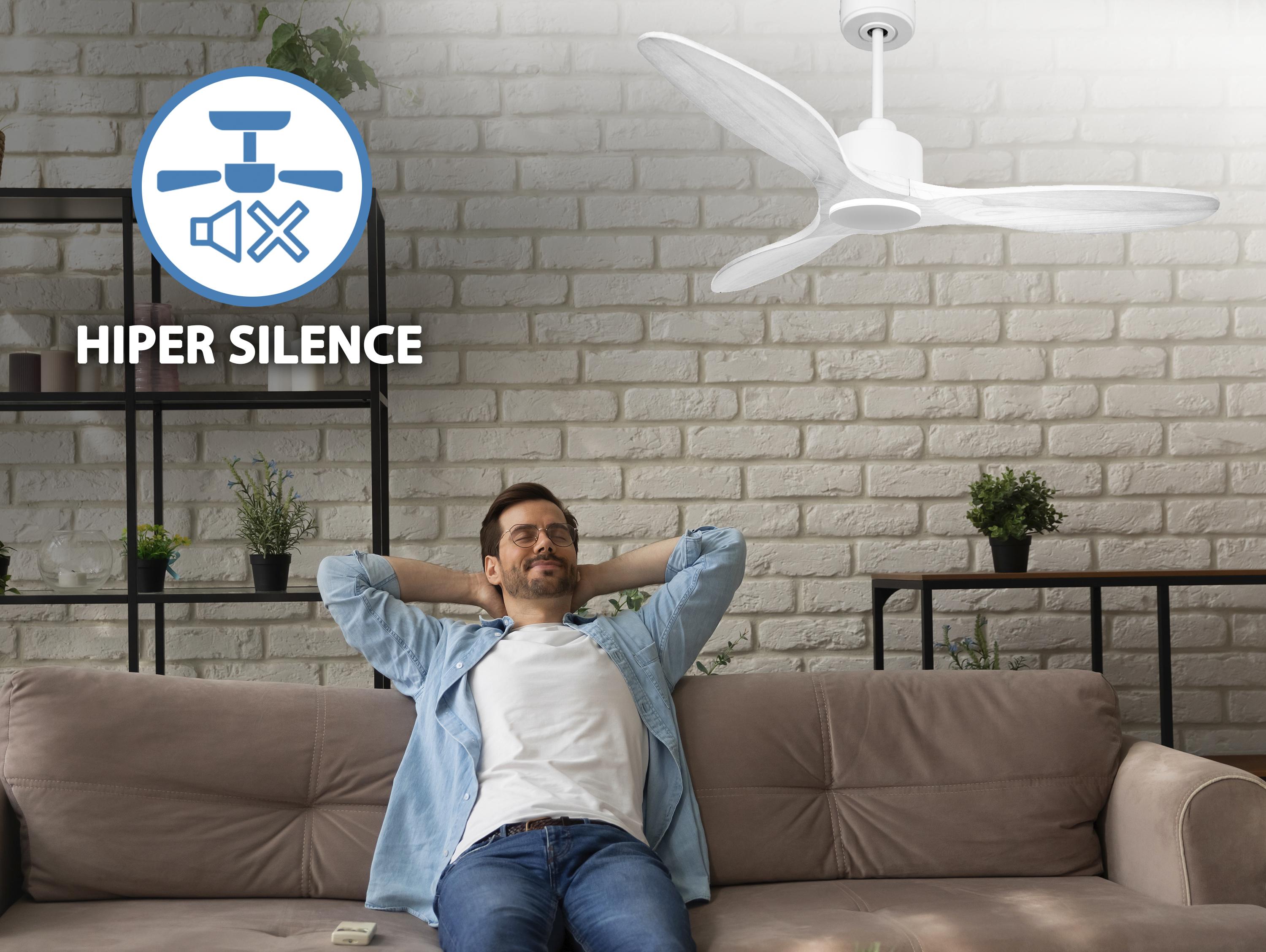 Ventilatori da soffitto  