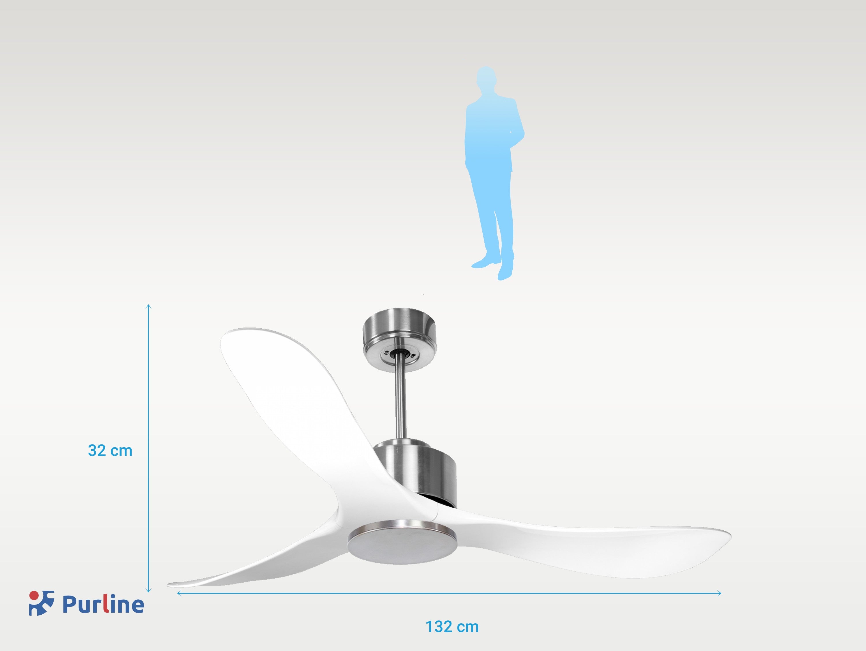 8435736326964 PURLINE