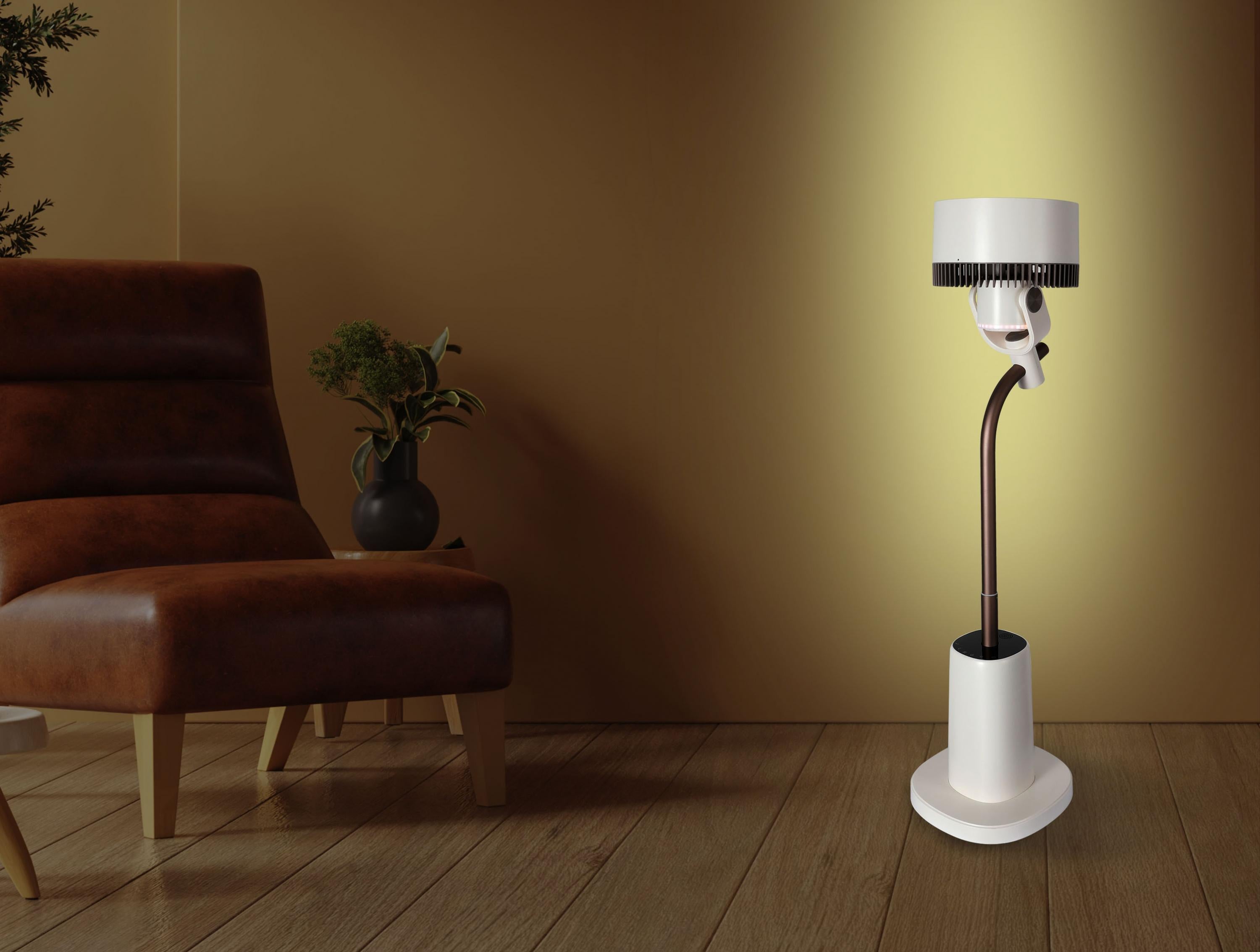 VENTY AMBIENCE: I fan