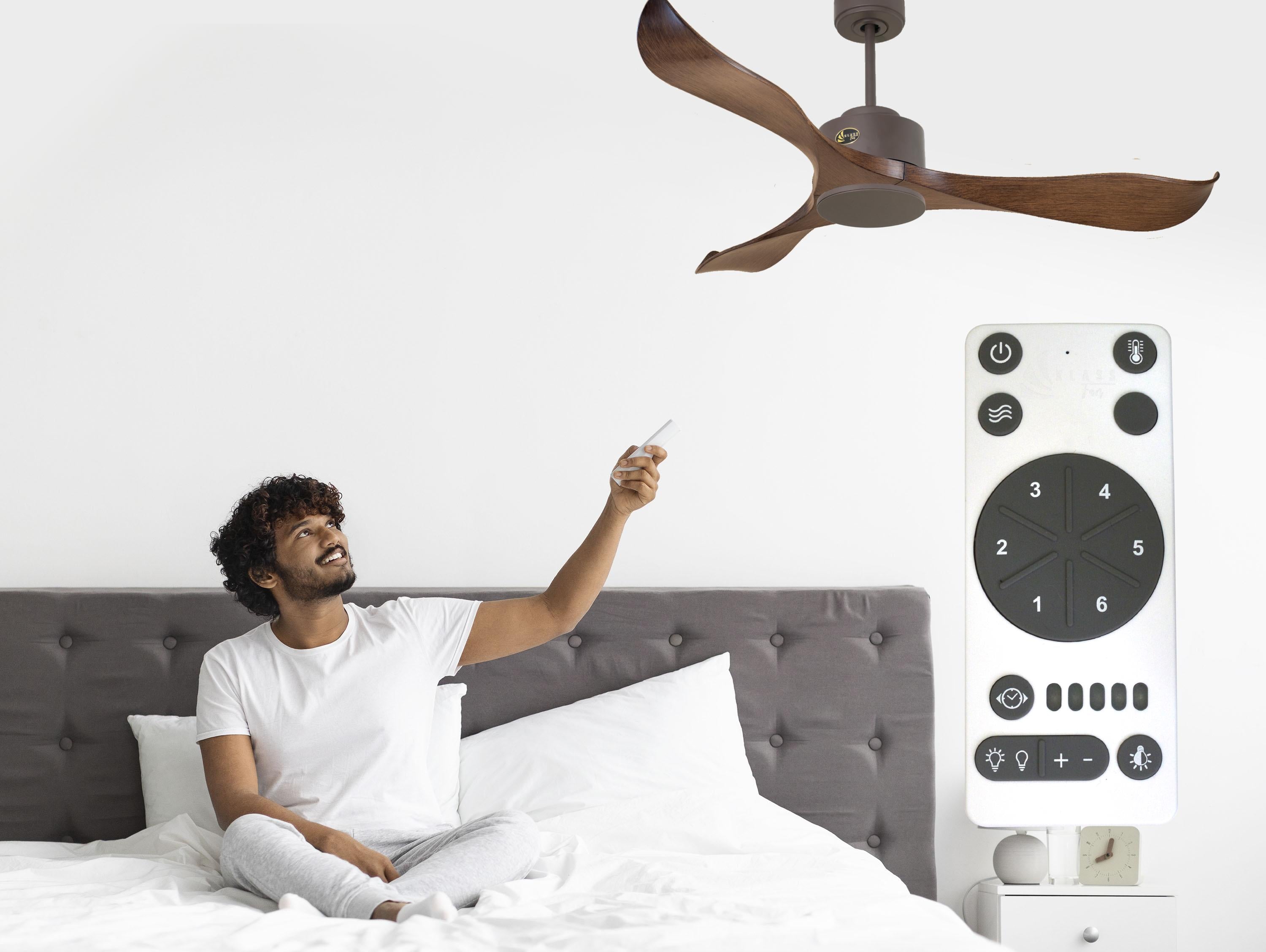 Ventilatori da soffitto  