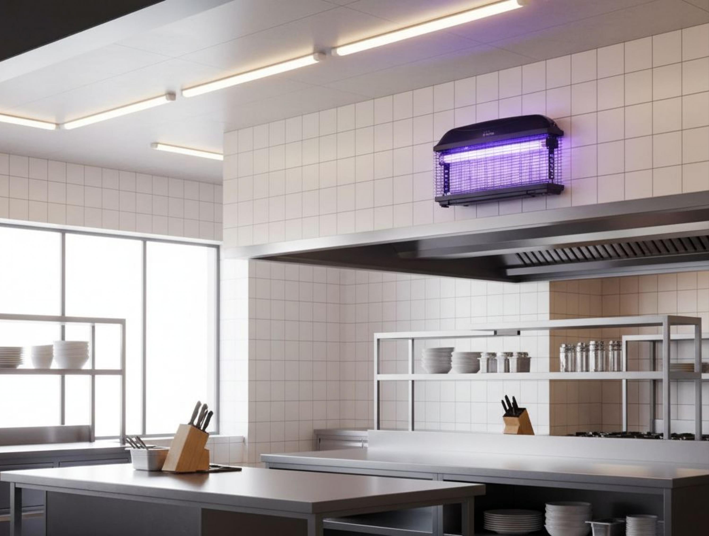Insetti lampada UV 10 W