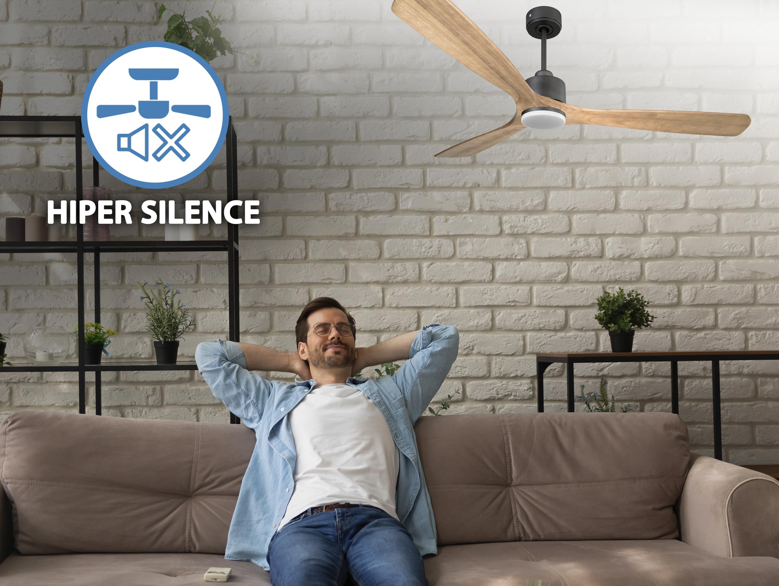 Ventilatore da soffitto Reversibile Termostato Dimmabile Wifi Motore CC Tetti inclinati Telecomando Luce a tre toni Hypersilence Memoria