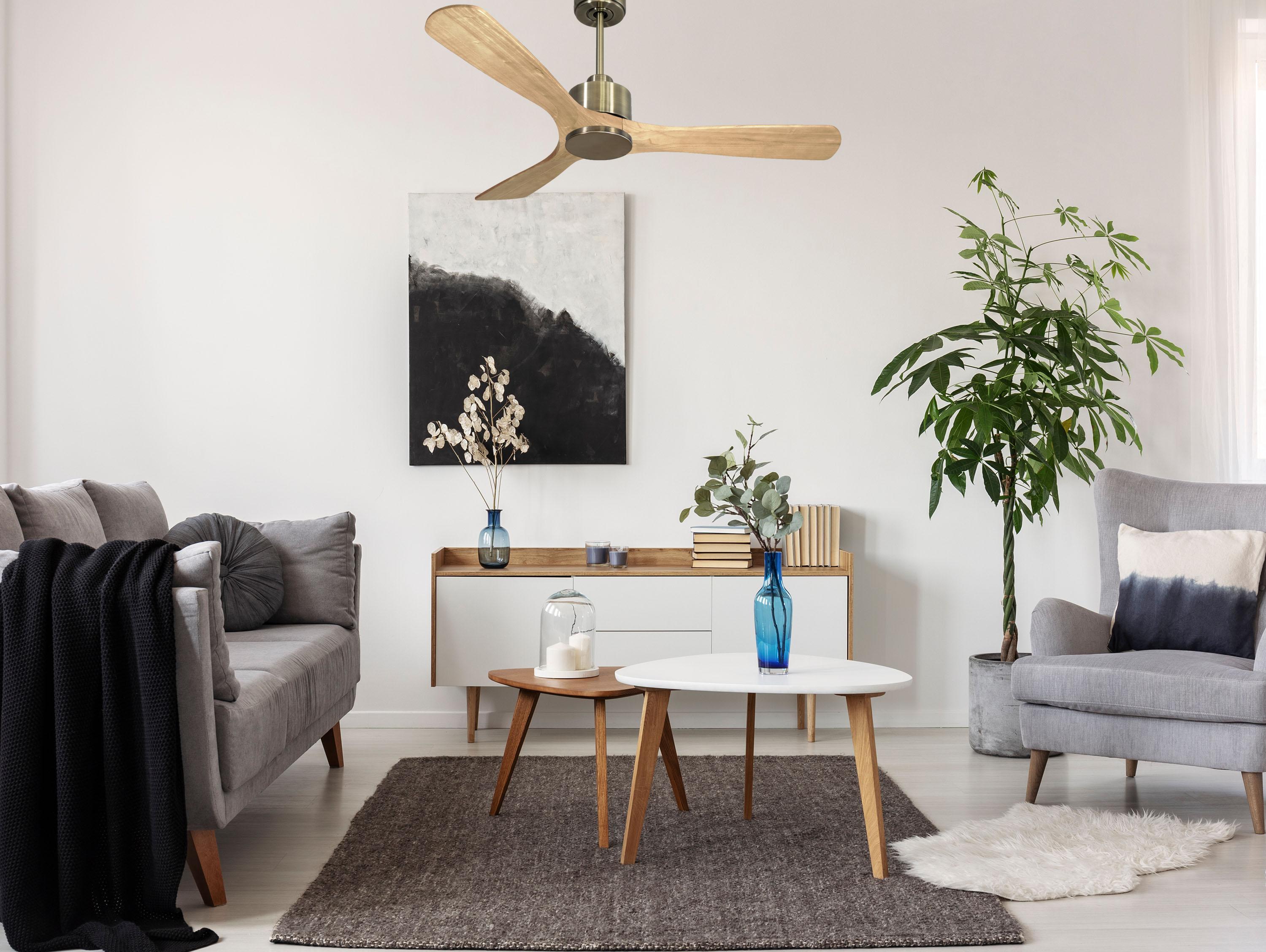 Ventilatore da soffitto Reversibile Termostato Wifi Motore CC Tetti inclinati Telecomando Hypersilence Memoria