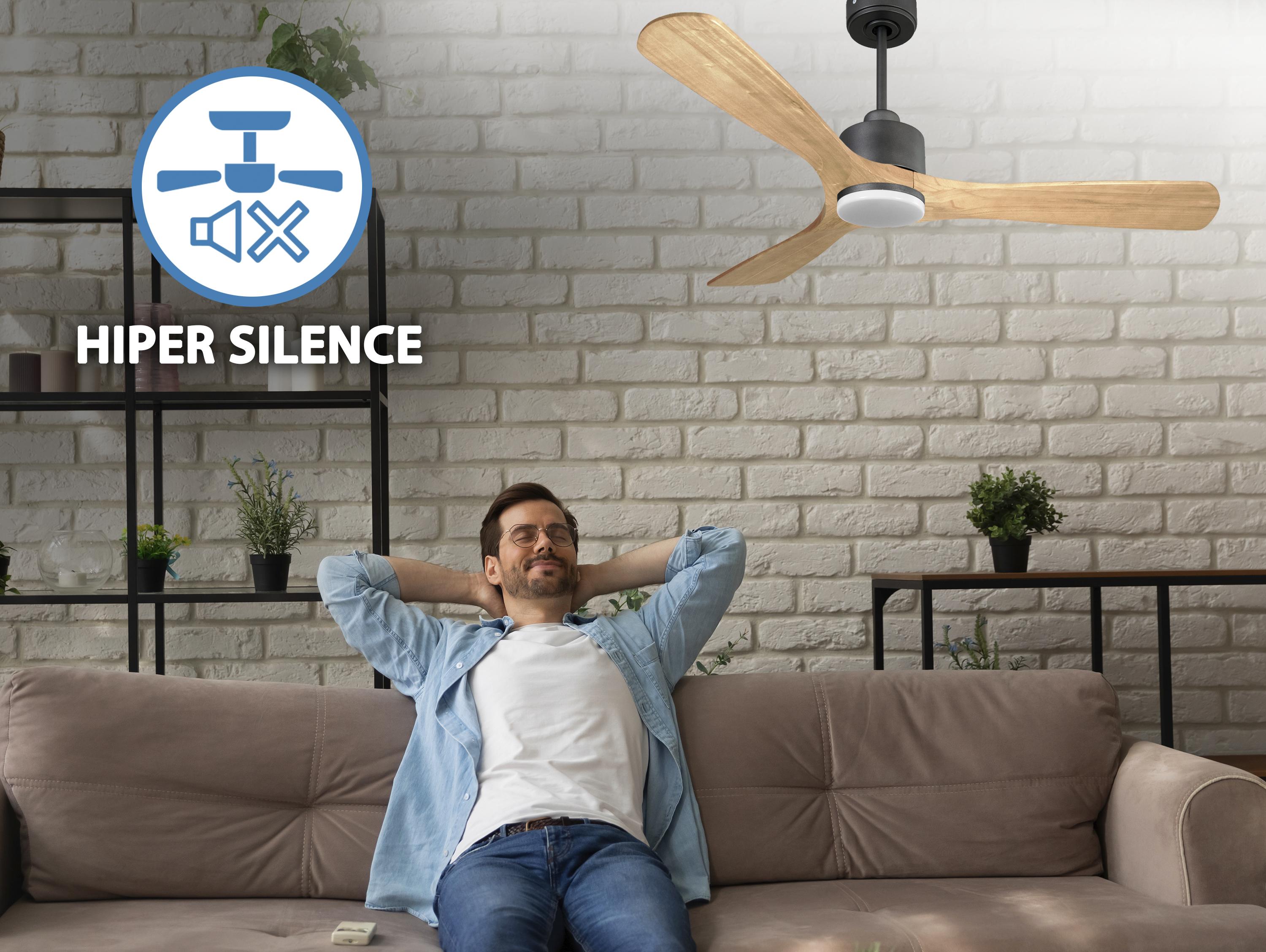Ventilatore da soffitto Reversibile Termostato Dimmabile Wifi Motore CC Tetti inclinati Telecomando Luce a tre toni Hypersilence Memoria