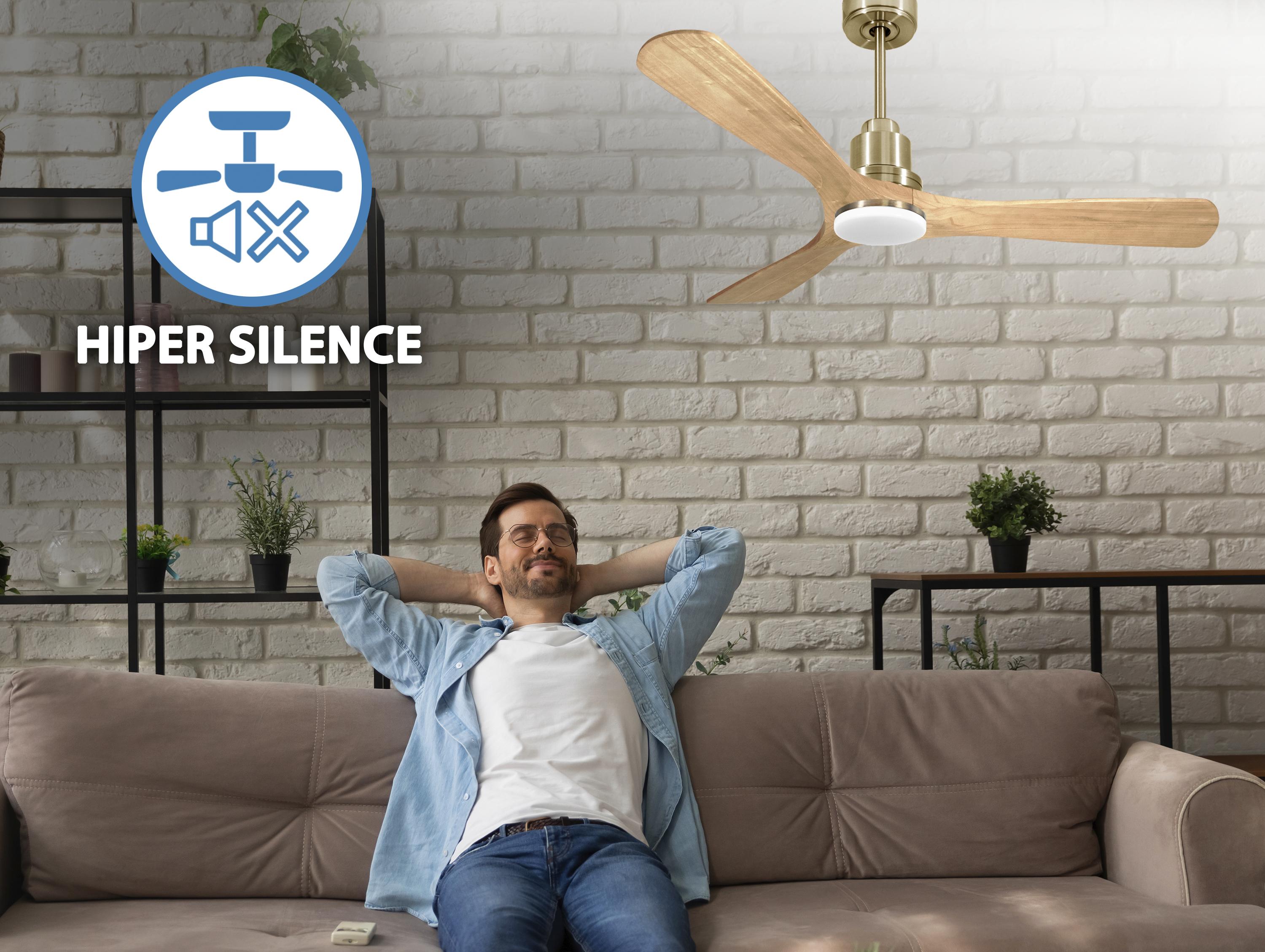 Ventilatore da soffitto Reversibile Termostato Dimmabile Wifi Motore CC Tetti inclinati Telecomando Luce a tre toni Hypersilence Memoria