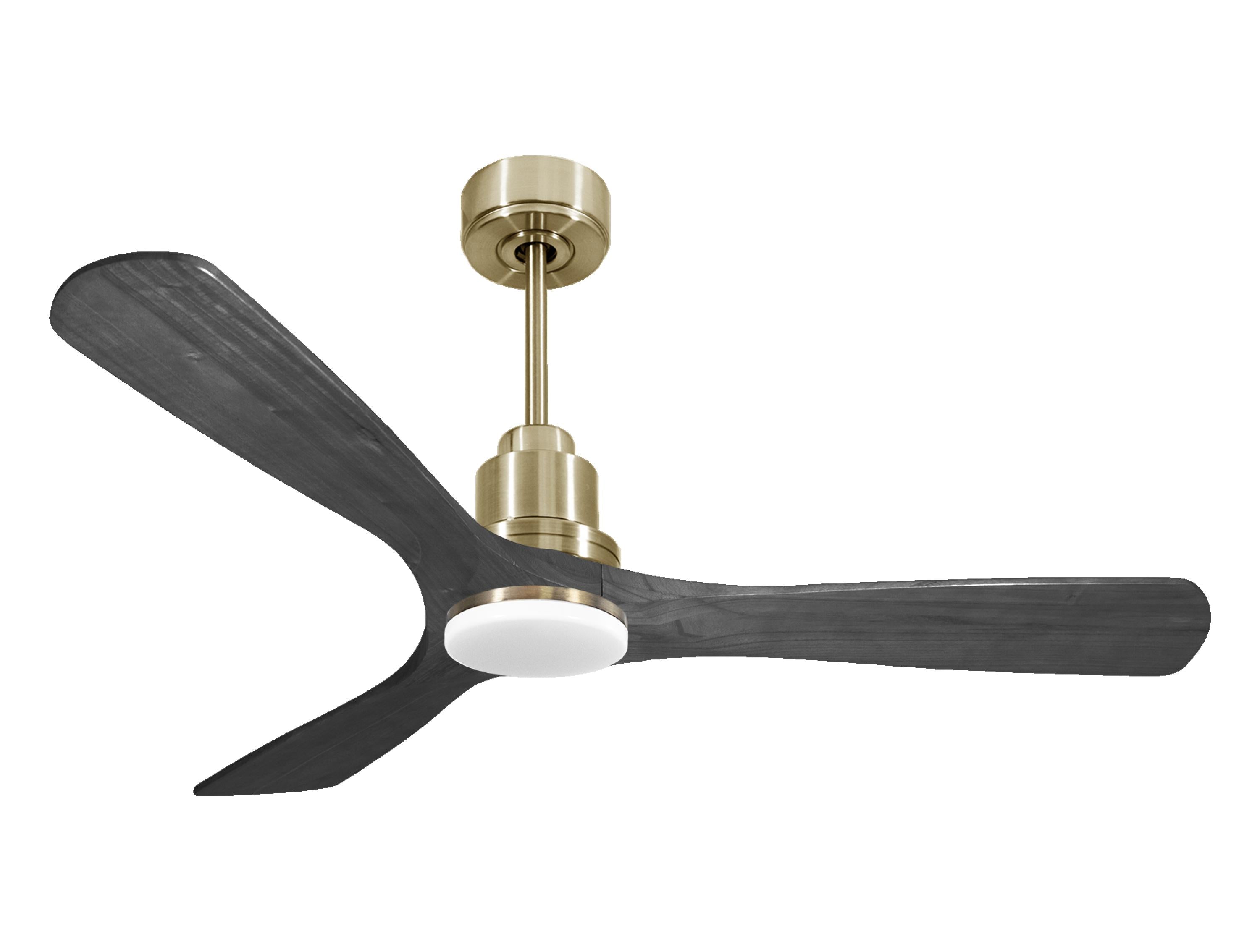 Ventilatore da soffitto Reversibile Termostato Dimmabile Wifi Motore CC Tetti inclinati Telecomando Luce a tre toni Hypersilence Memoria