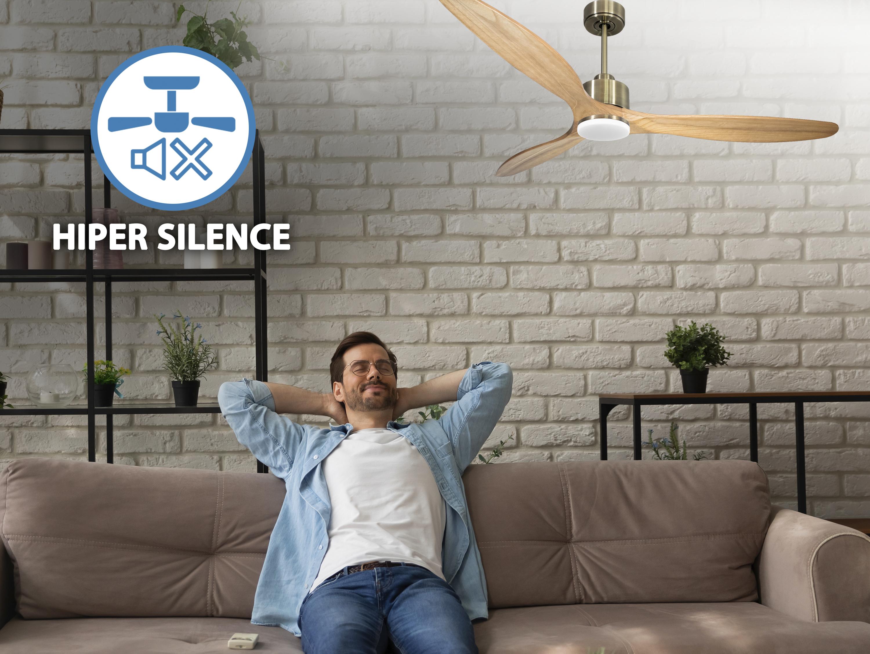 Ventilatore da soffitto Reversibile Termostato Dimmabile Wifi Motore CC Tetti inclinati Telecomando Luce a tre toni Hypersilence Memoria