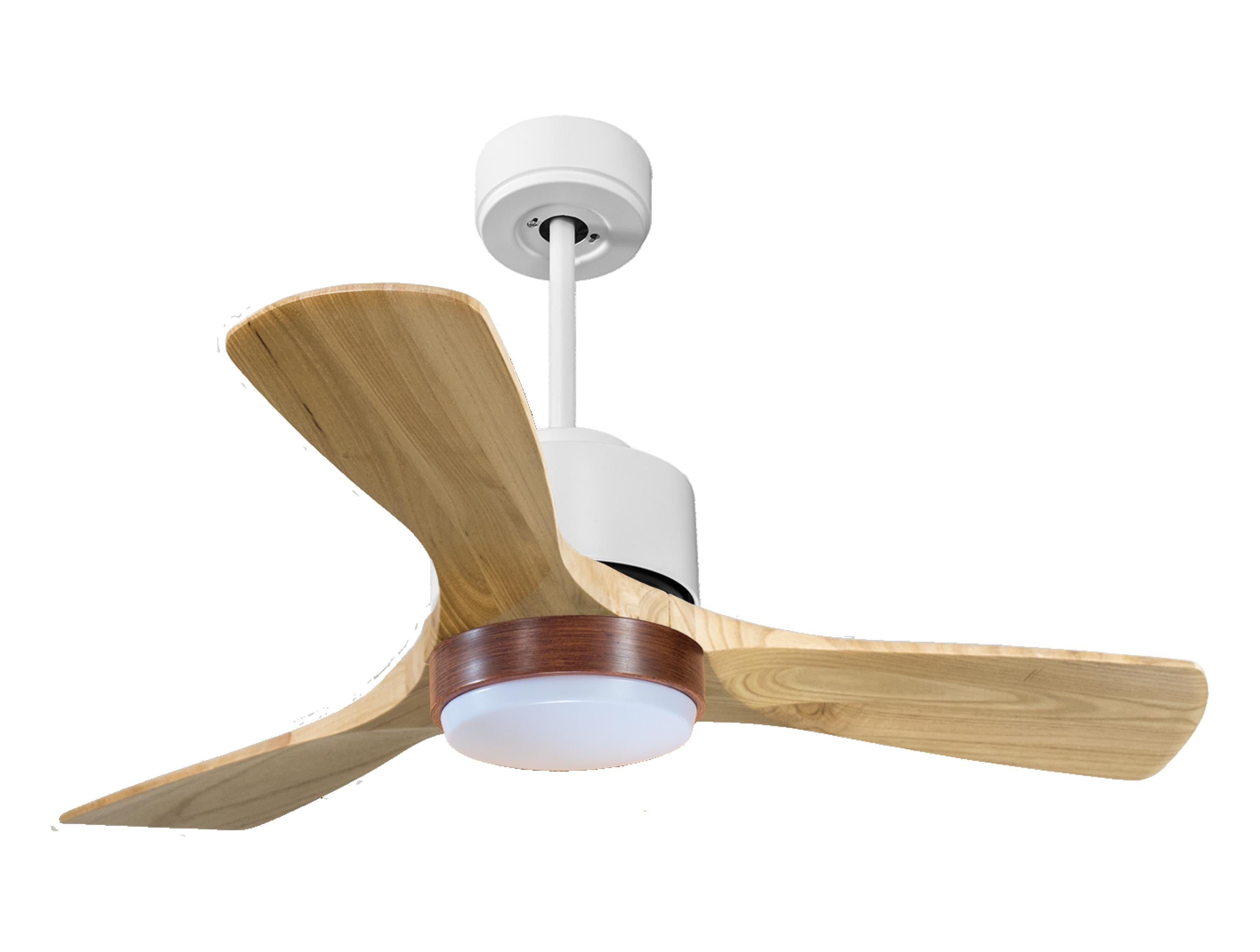 Ventilatore a soffitto ultra silenzioso e a basso consumo DC RarotongaD106C02LED66274