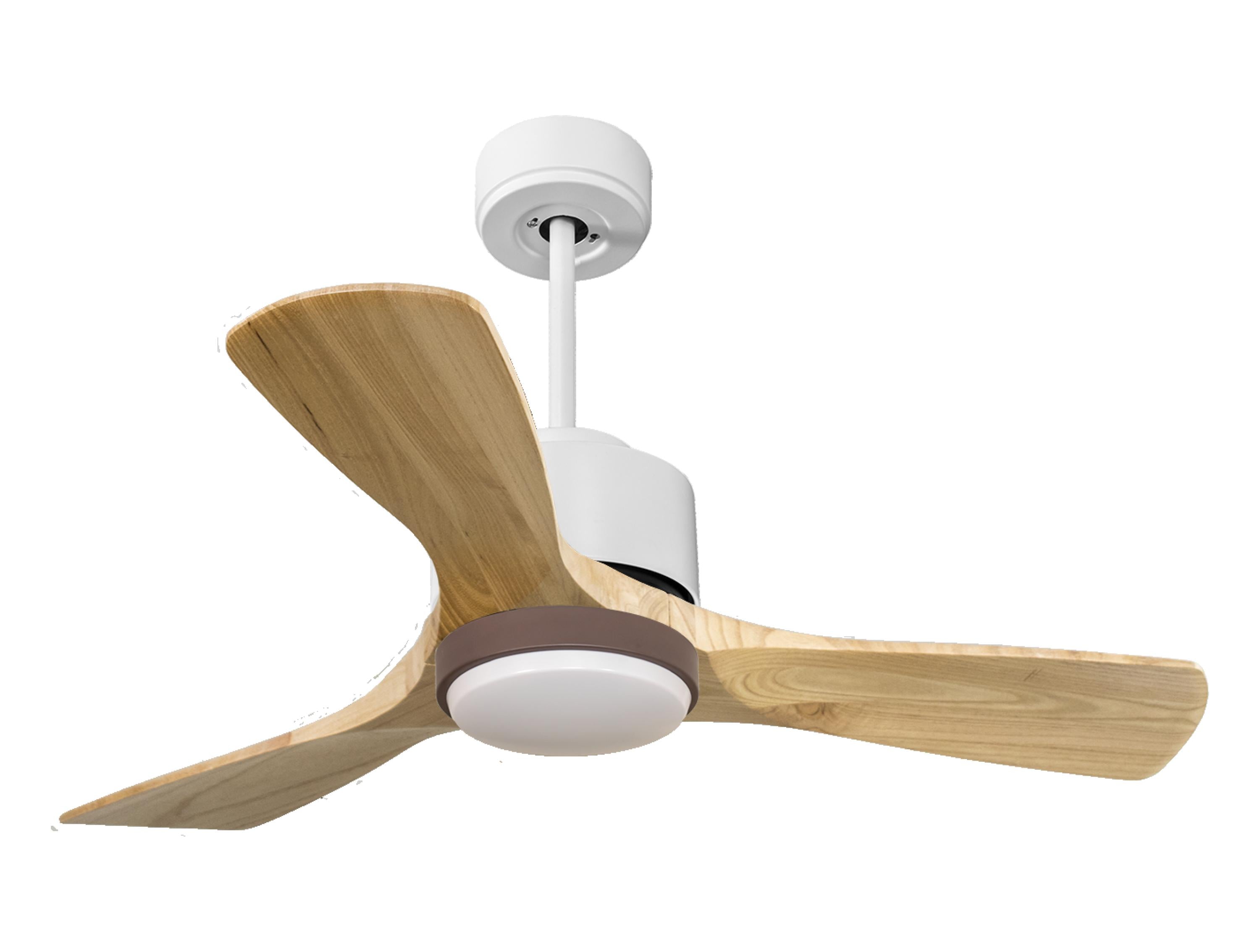 Ventilatore a soffitto ultra silenzioso e a basso consumo DC RarotongaD106C02LED69726
