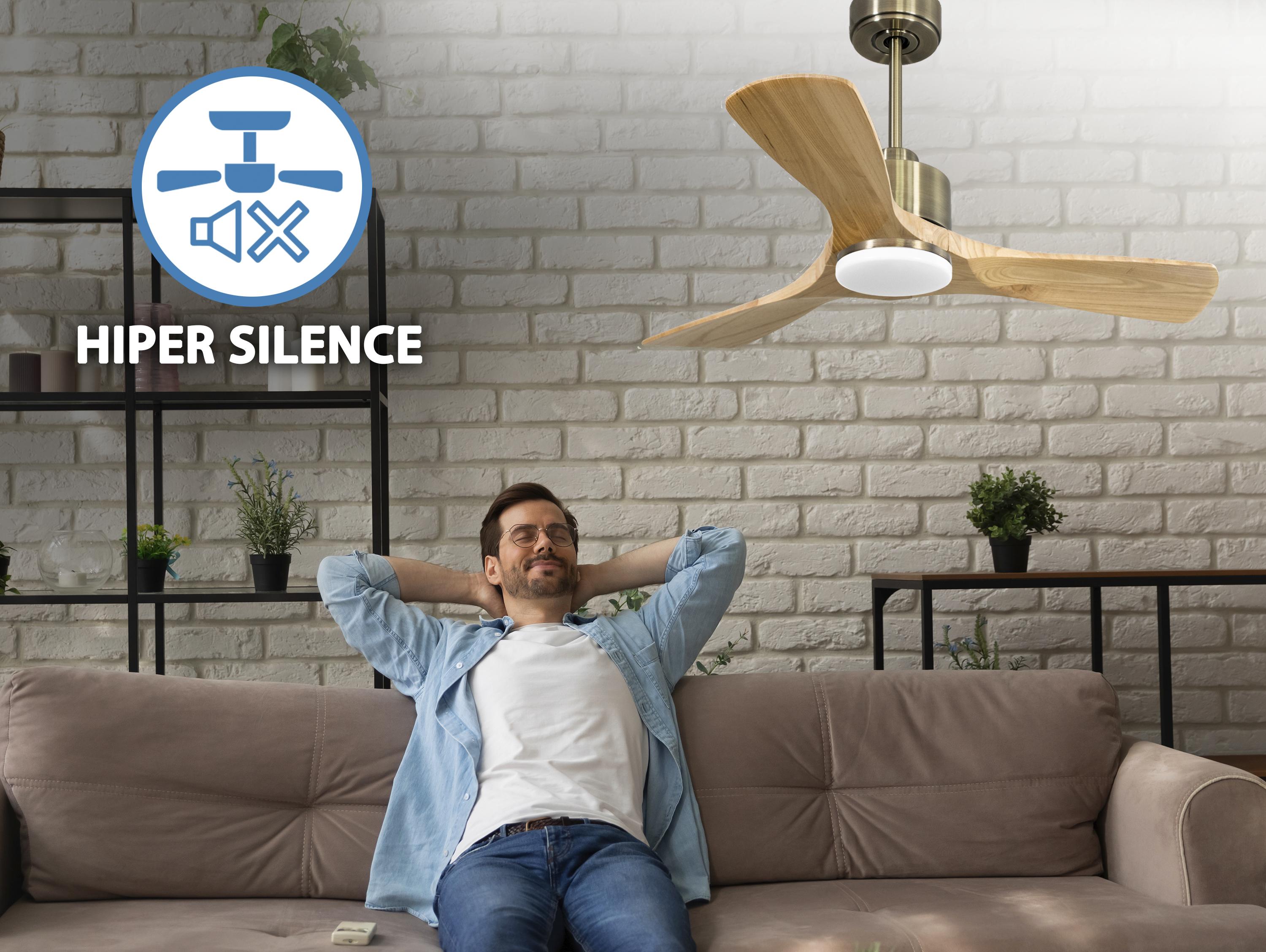 Ventilatore da soffitto Reversibile Termostato Dimmabile Wifi Motore CC Tetti inclinati Telecomando Luce a tre toni Hypersilence Memoria