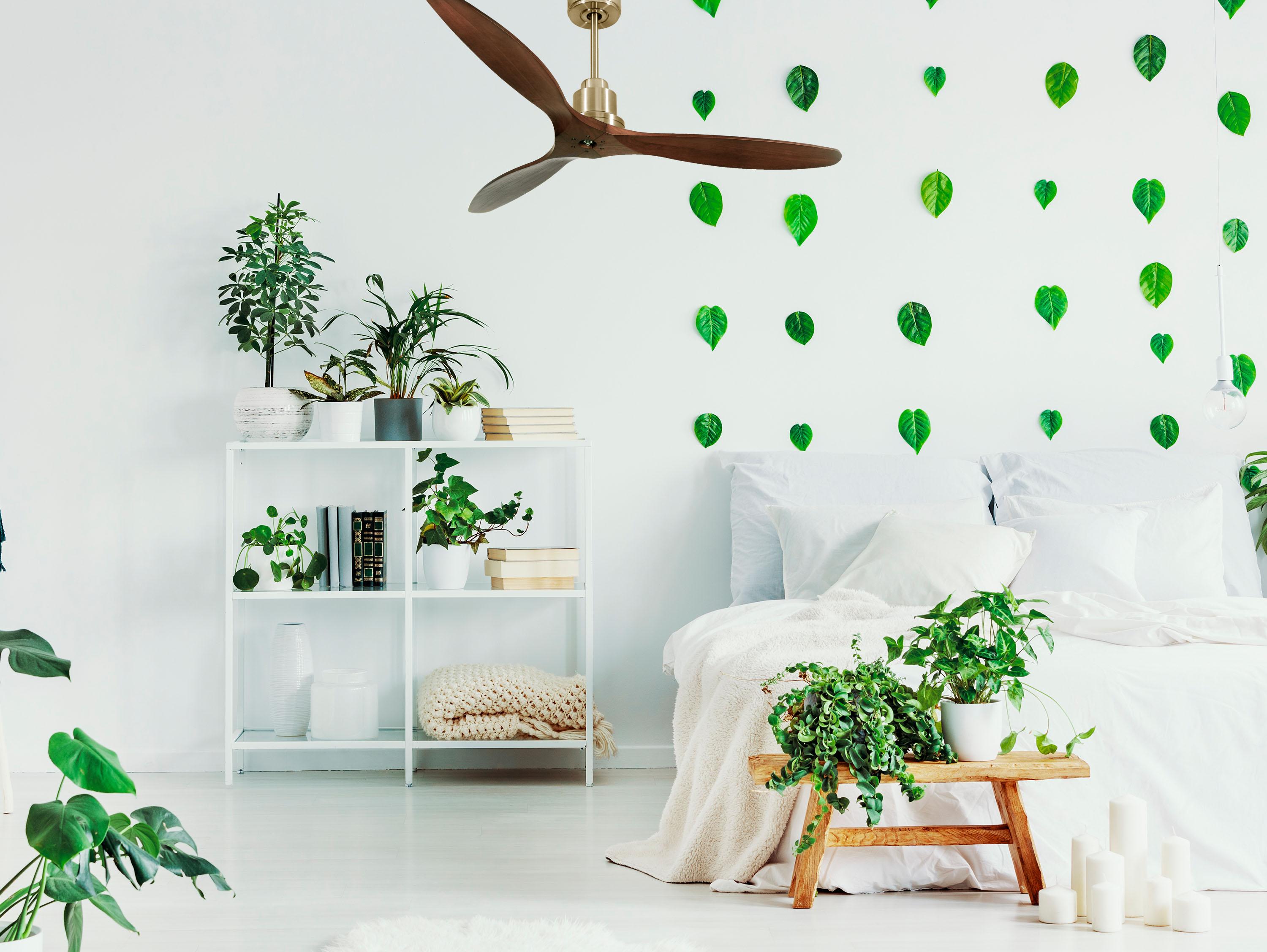 Ventilatore da soffitto Reversibile Termostato Dimmabile Wifi Motore CC Tetti inclinati Telecomando Luce a tre toni Hypersilence Memoria