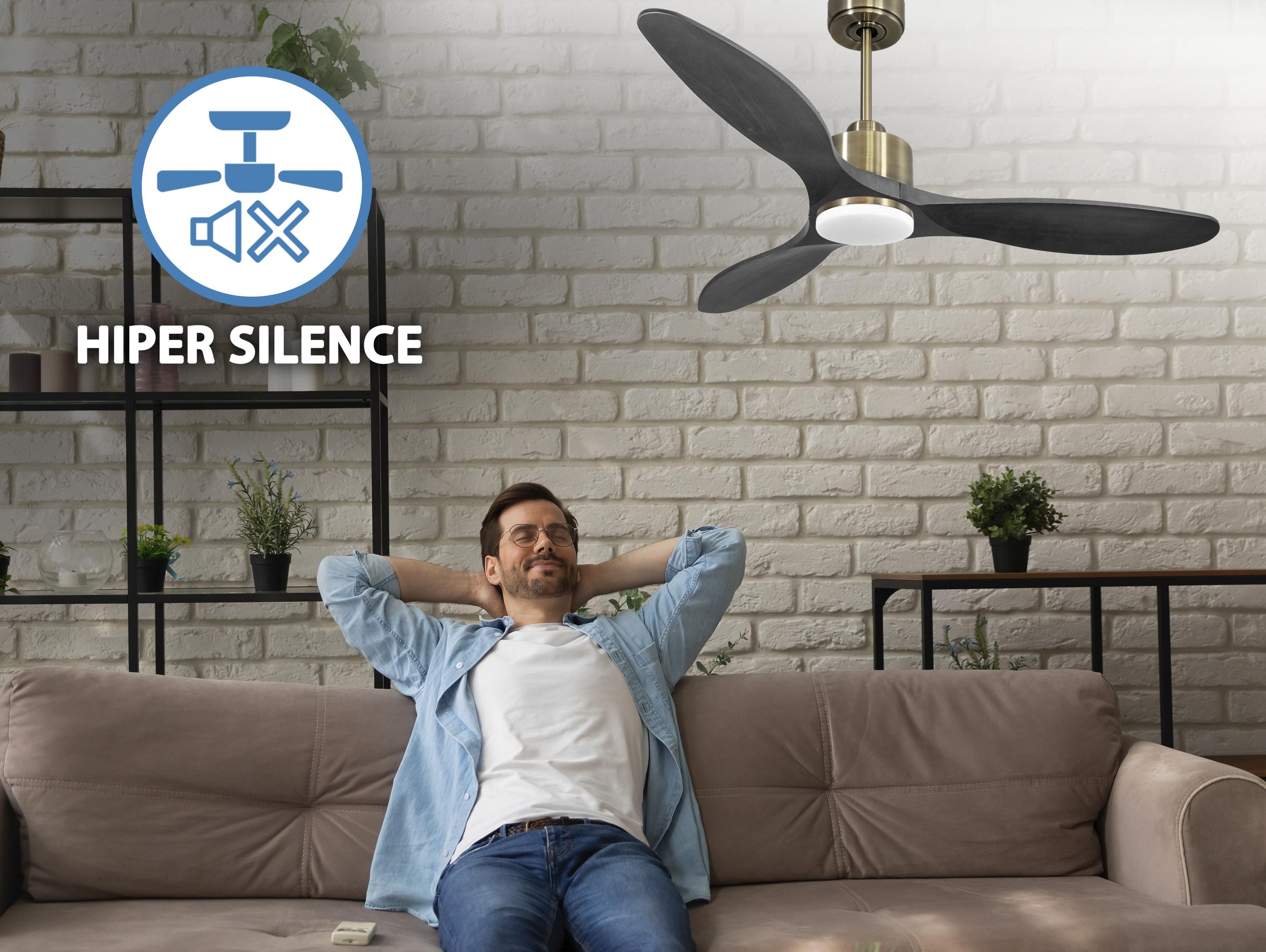 Ventilatore da soffitto Reversibile Termostato Dimmabile Wifi Motore CC Tetti inclinati Telecomando Luce a tre toni Hypersilence Memoria