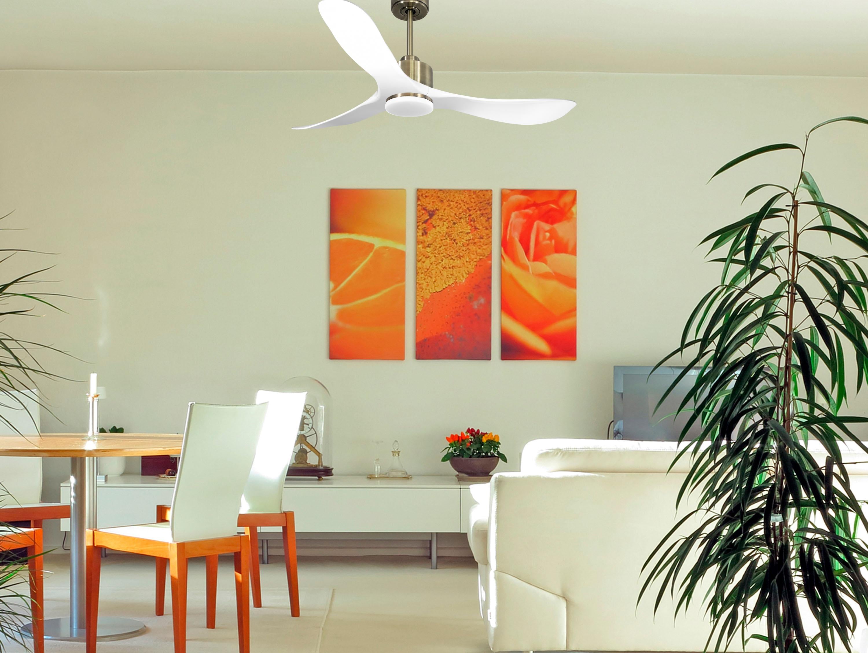 Ventilatore da soffitto Reversibile Termostato Dimmabile Wifi Motore CC Tetti inclinati Telecomando Luce a tre toni Hypersilence Memoria