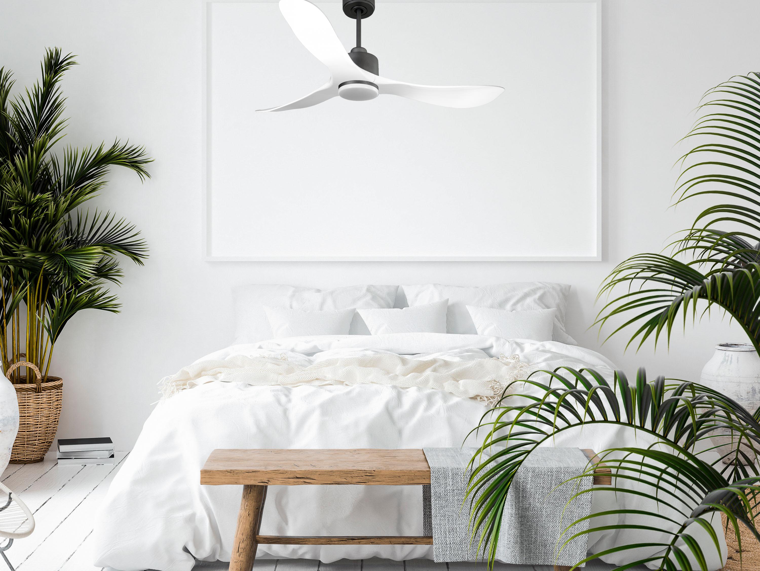 Ventilatore da soffitto Reversibile Termostato Dimmabile Wifi Motore CC Tetti inclinati Telecomando Luce a tre toni Hypersilence Memoria