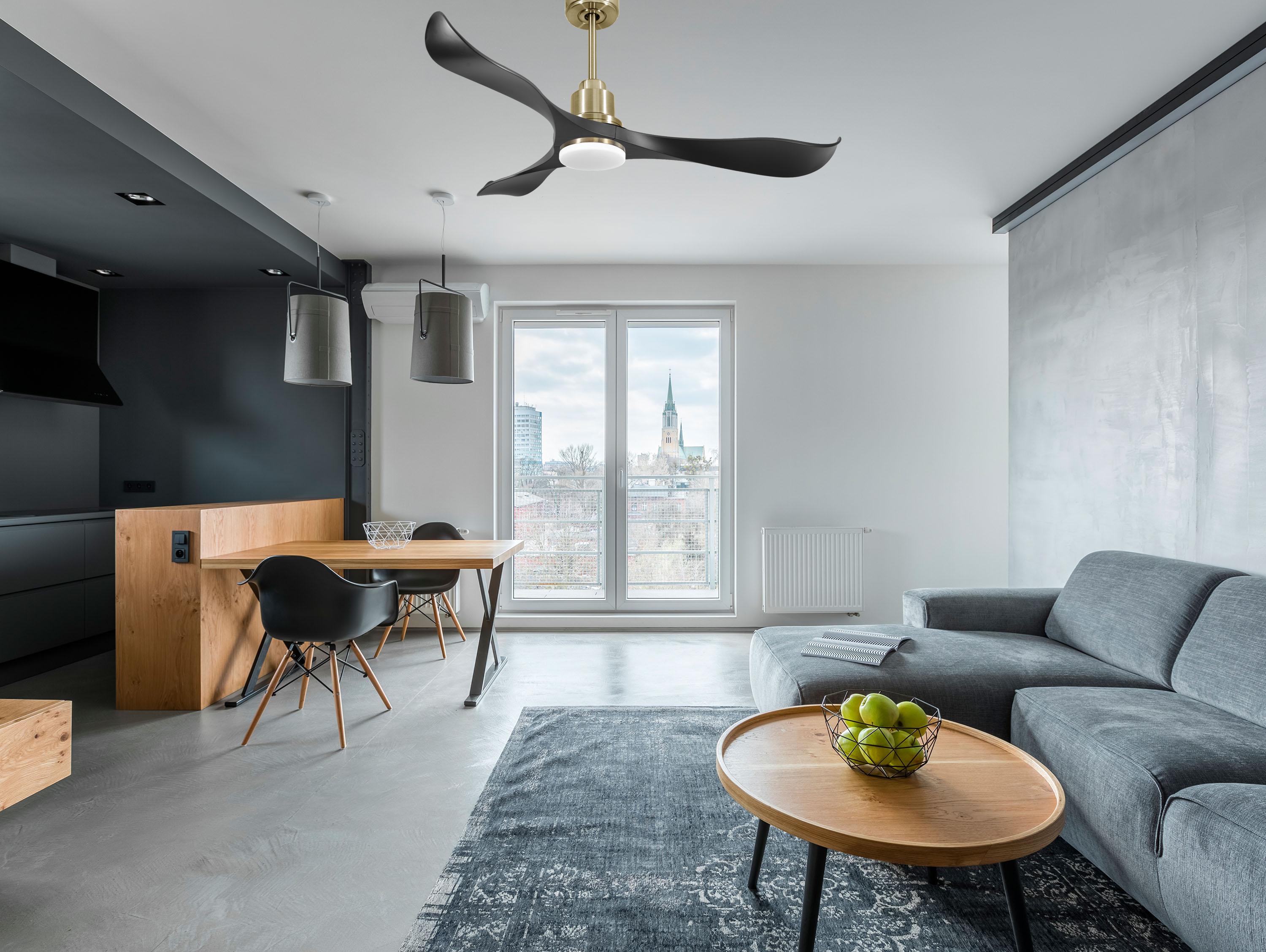 Ventilatore da soffitto Reversibile Termostato Dimmabile Wifi Motore CC Tetti inclinati Telecomando Luce a tre toni Adattatore 2/3 lame Hypersilence Memoria