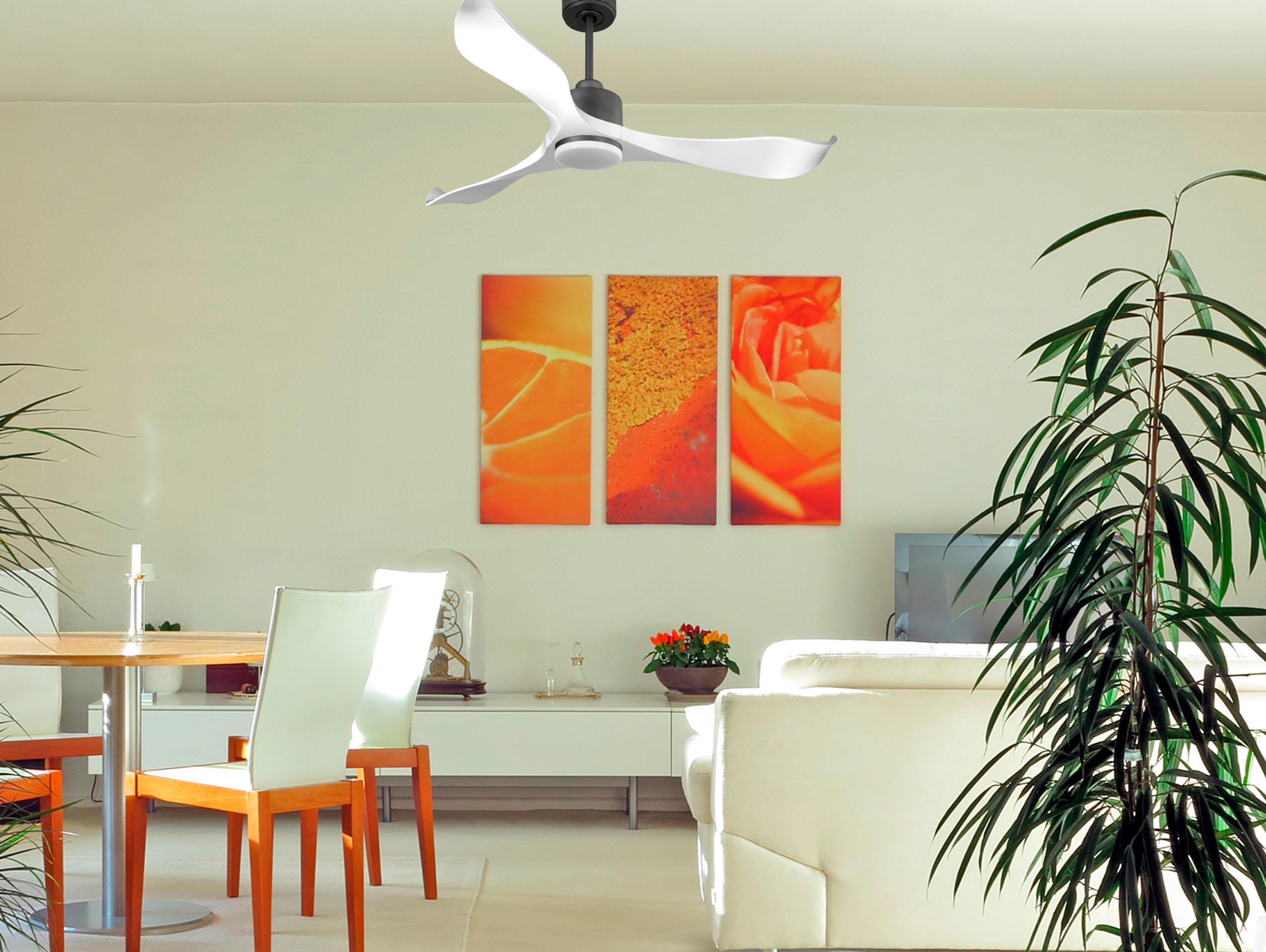Ventilatore da soffitto Reversibile Termostato Dimmabile Wifi Motore CC Tetti inclinati Telecomando Luce a tre toni Adattatore 2/3 lame Hypersilence Memoria